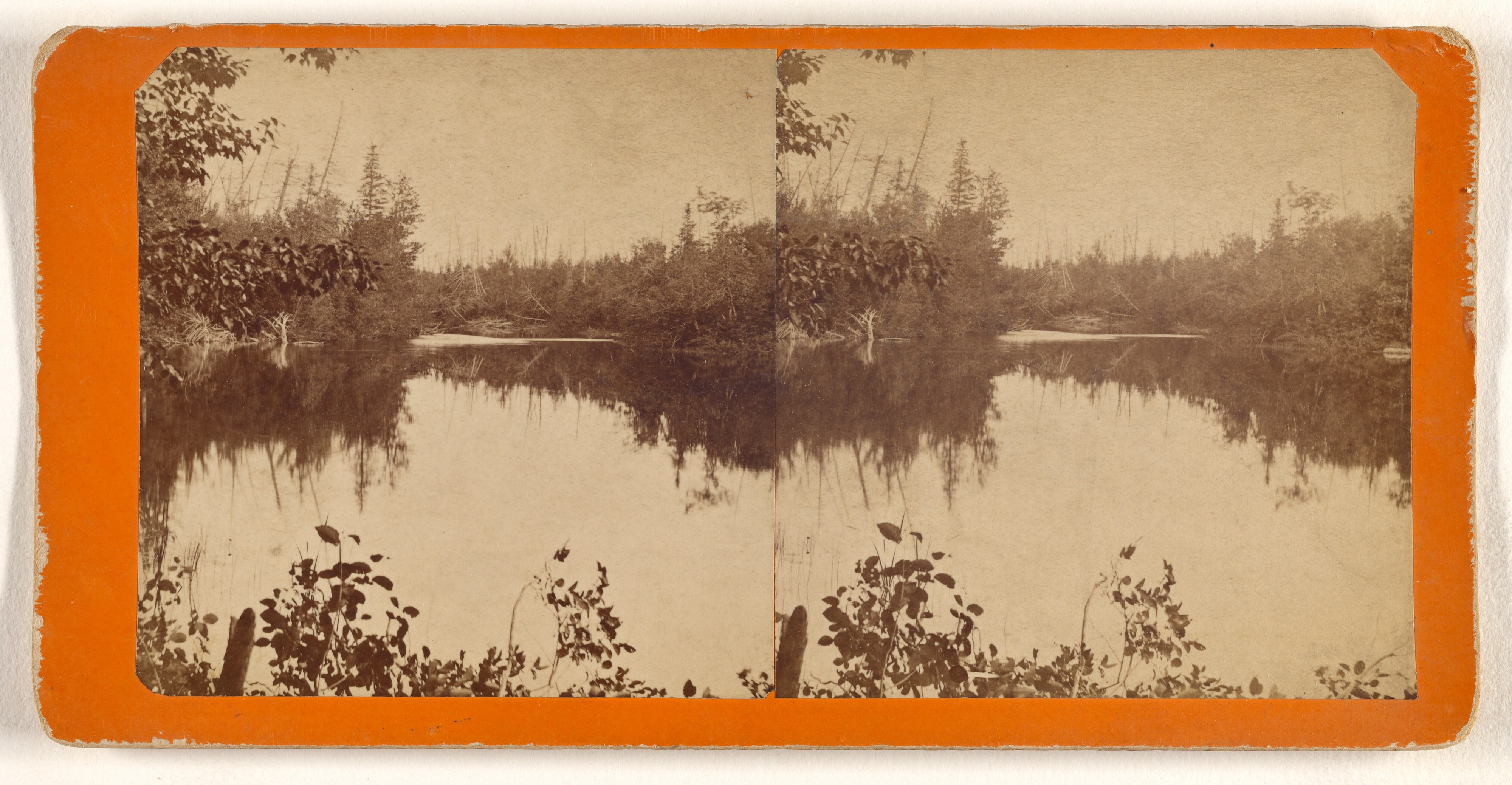 [View on the Squatook river, one of the feeders of the upper St. John]