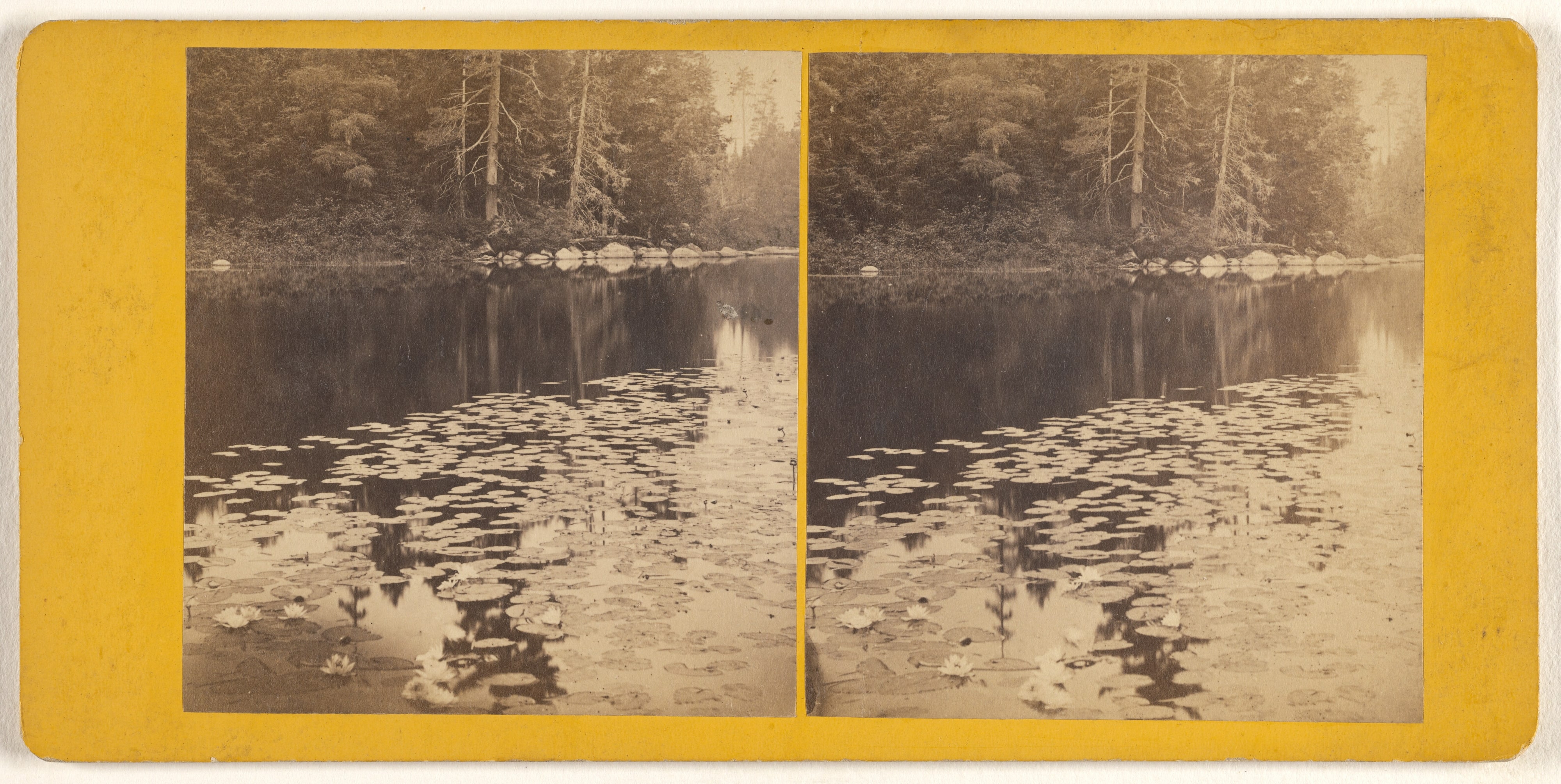 Views About "No.4," "B" Still Life, on Beaver River.