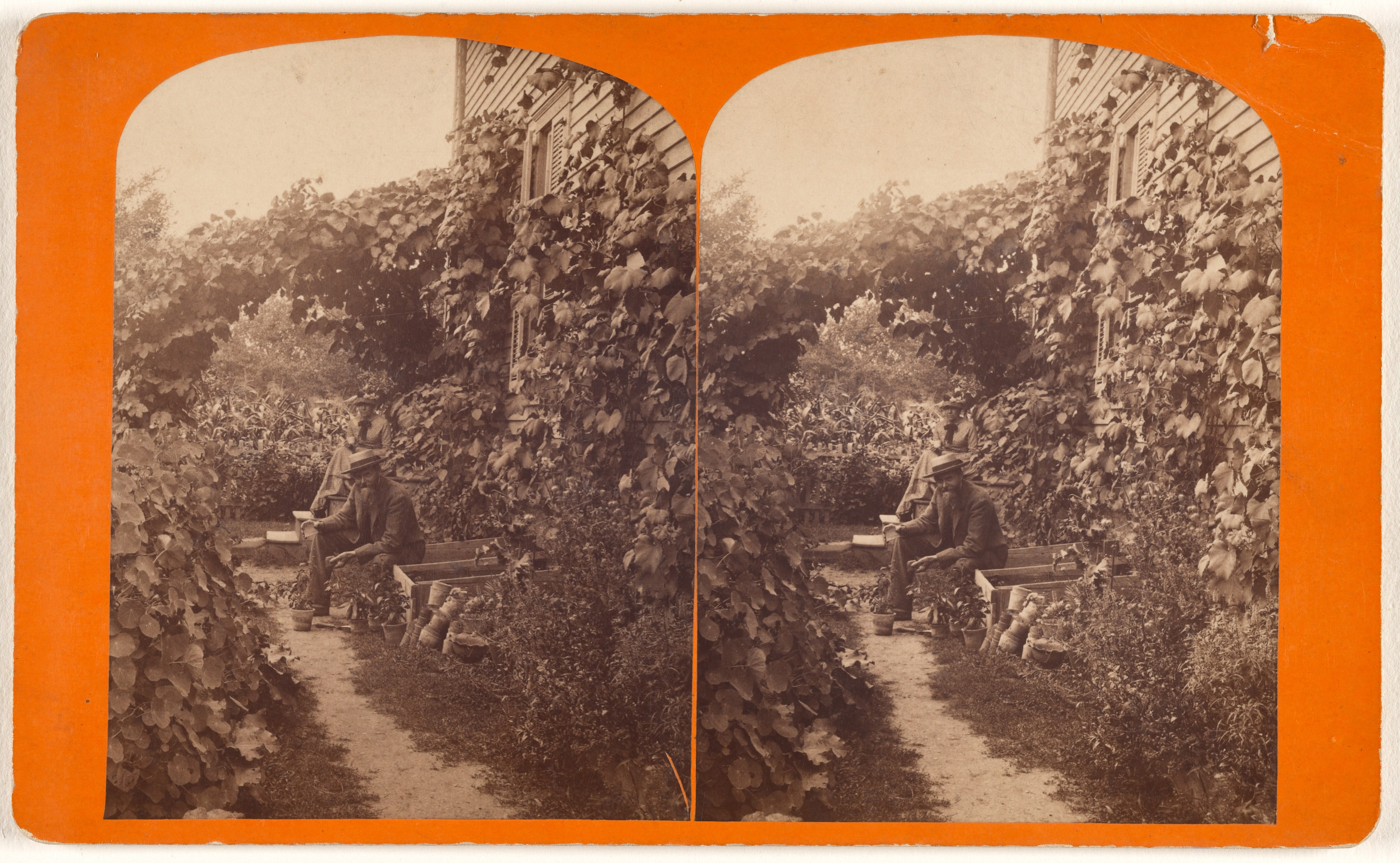 [Elderly couple seated on steps of house in their garden]