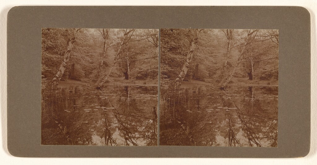 "Reflections"