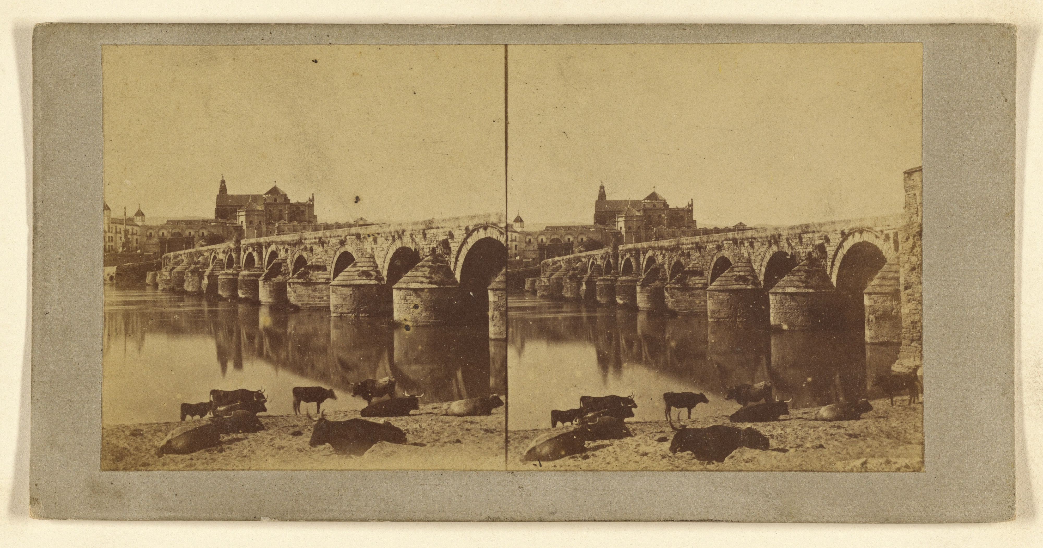 [Cordoba Mezquita y el puente]