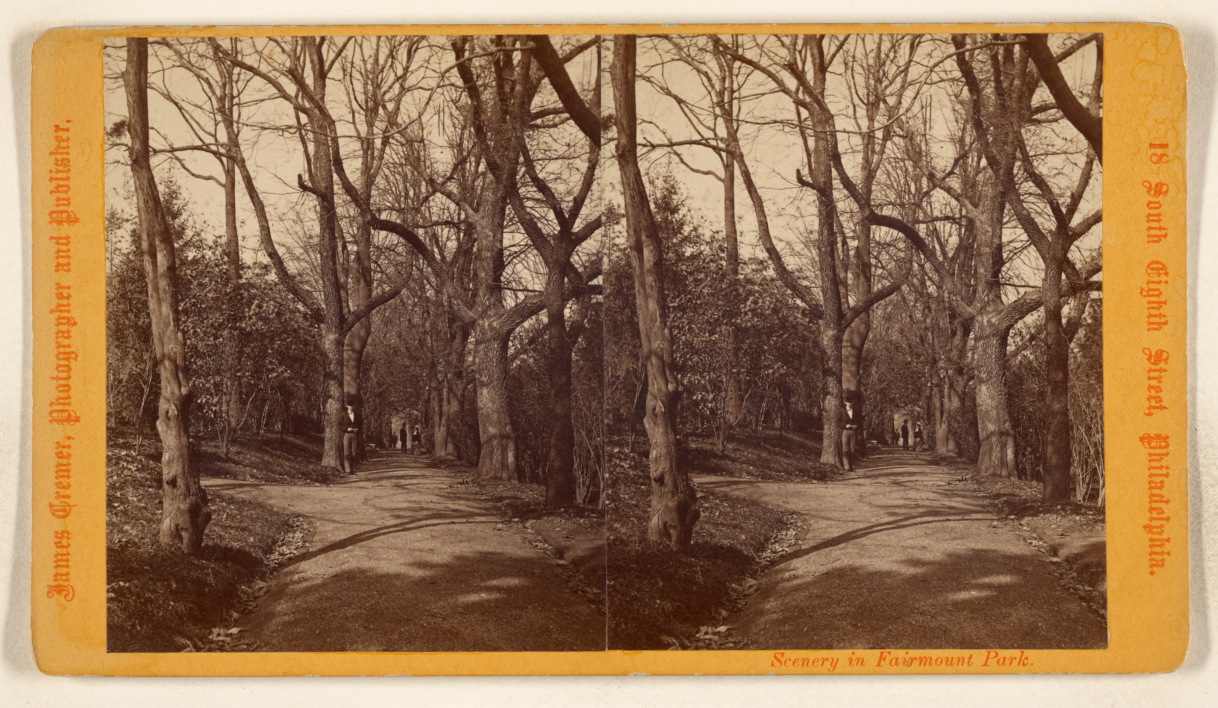 Scenery in Fairmount Park.