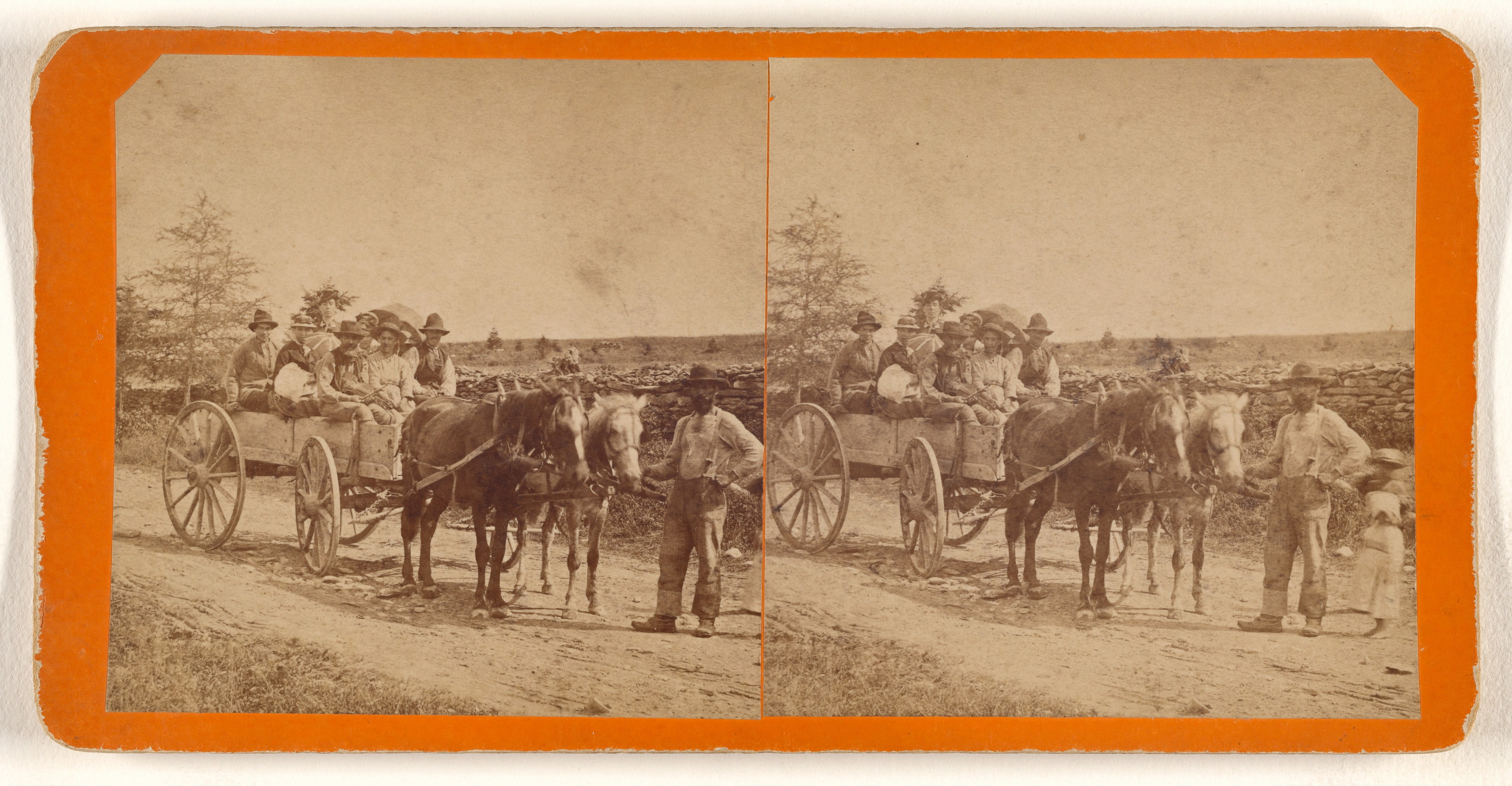 [French Wedding Party, possibly at New Brunswick, Canada]