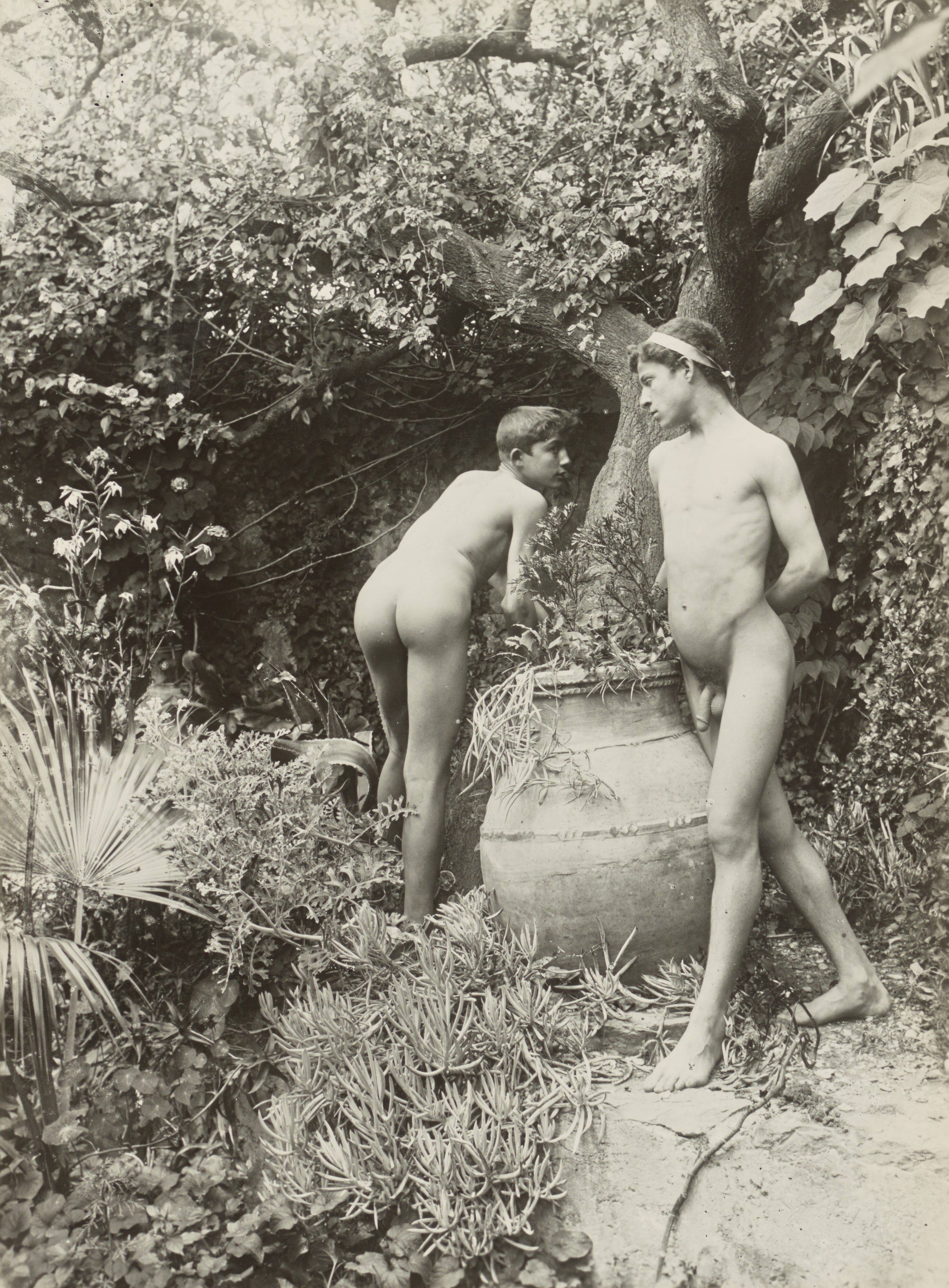 [Two Nude Young Men in a Garden]