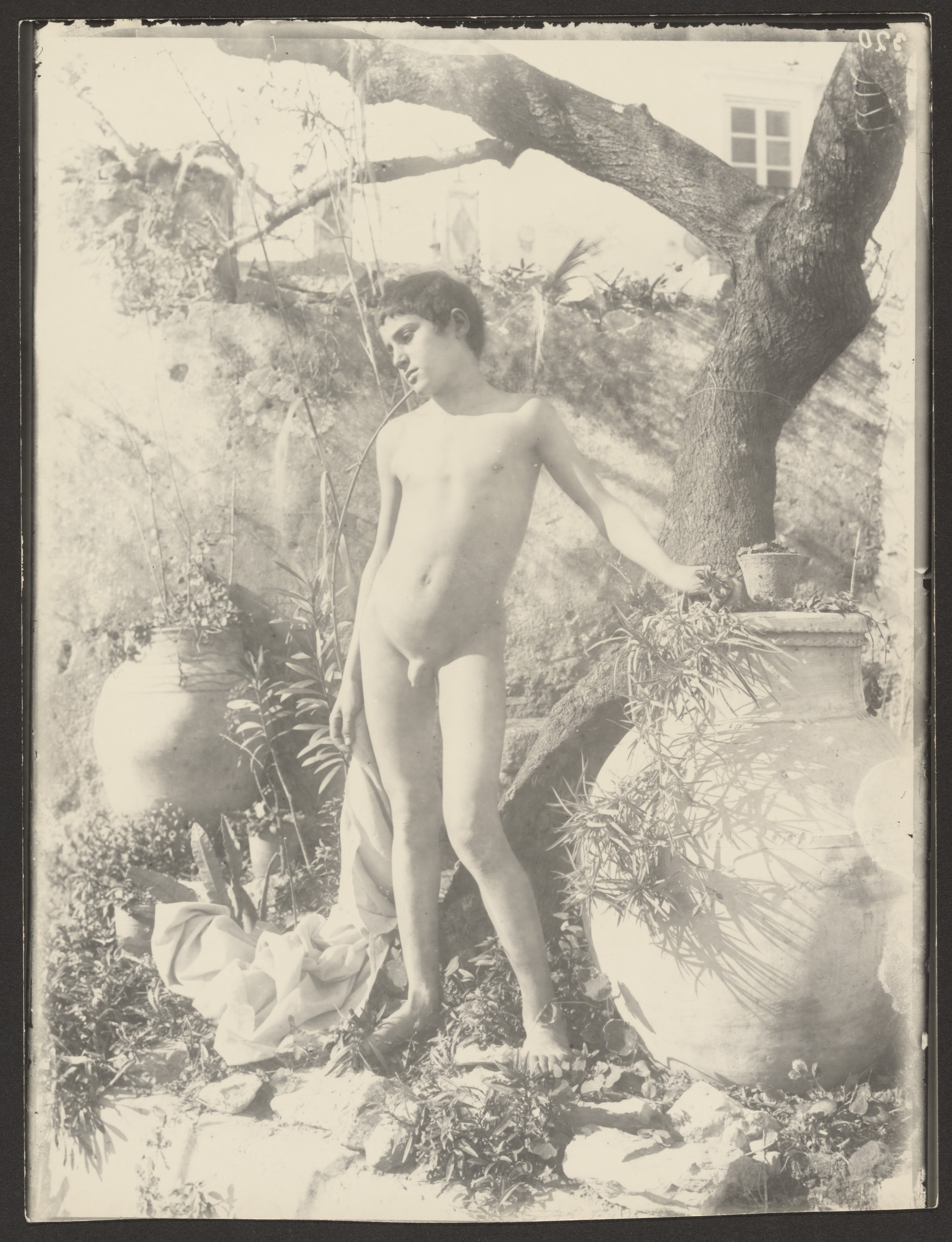 [Nude Youth in Garden]