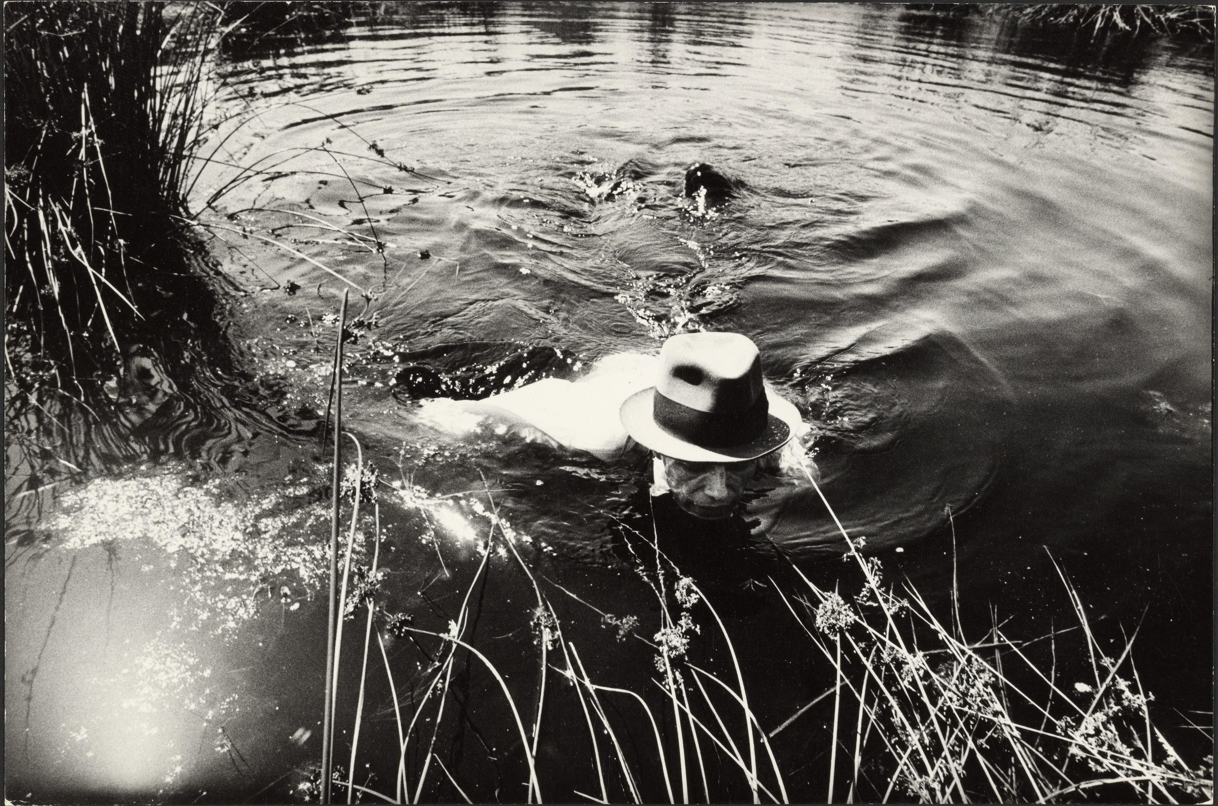Joseph Beuys swimming in a swamp, Eindhoven, Netherlands