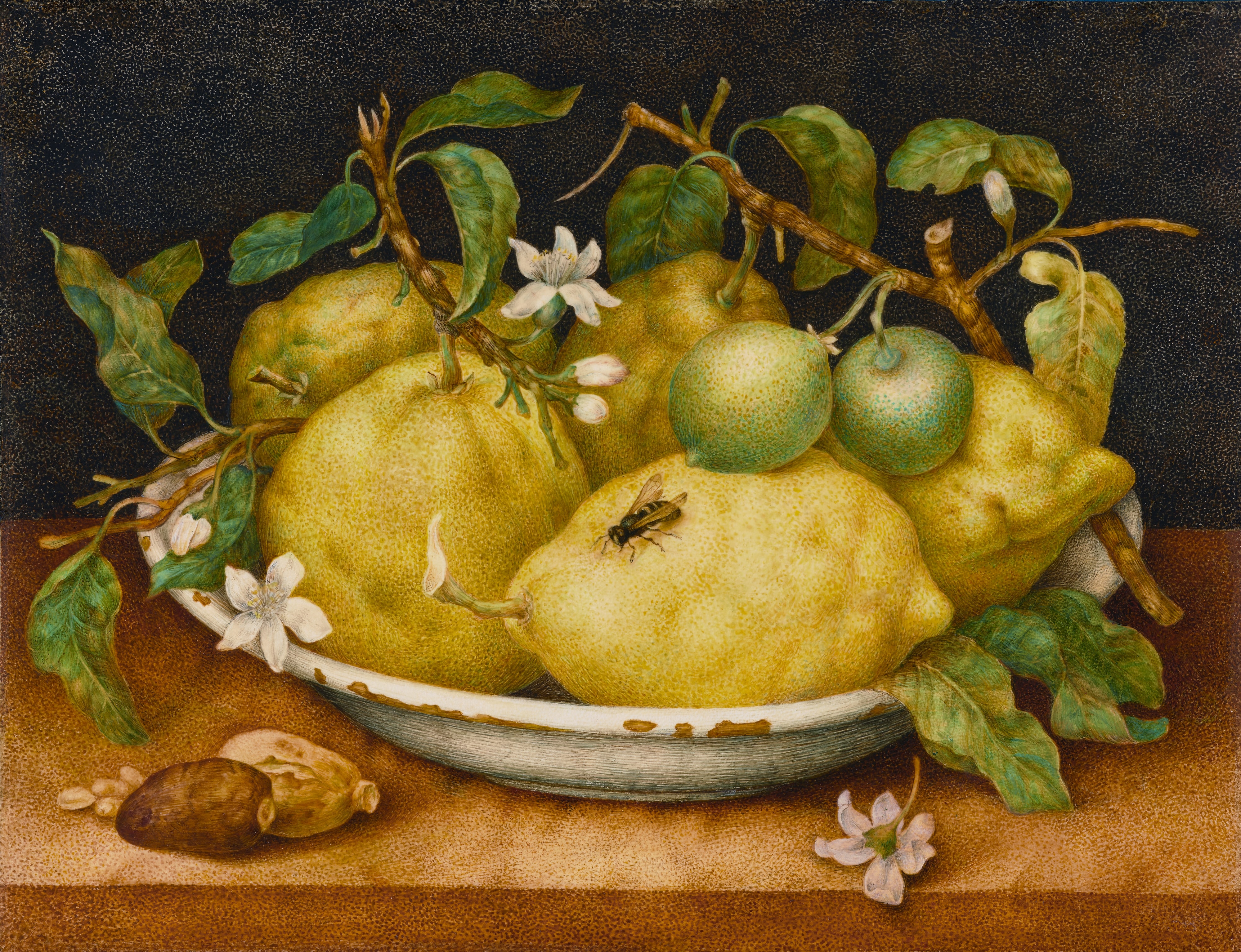 Still Life with Bowl of Citrons