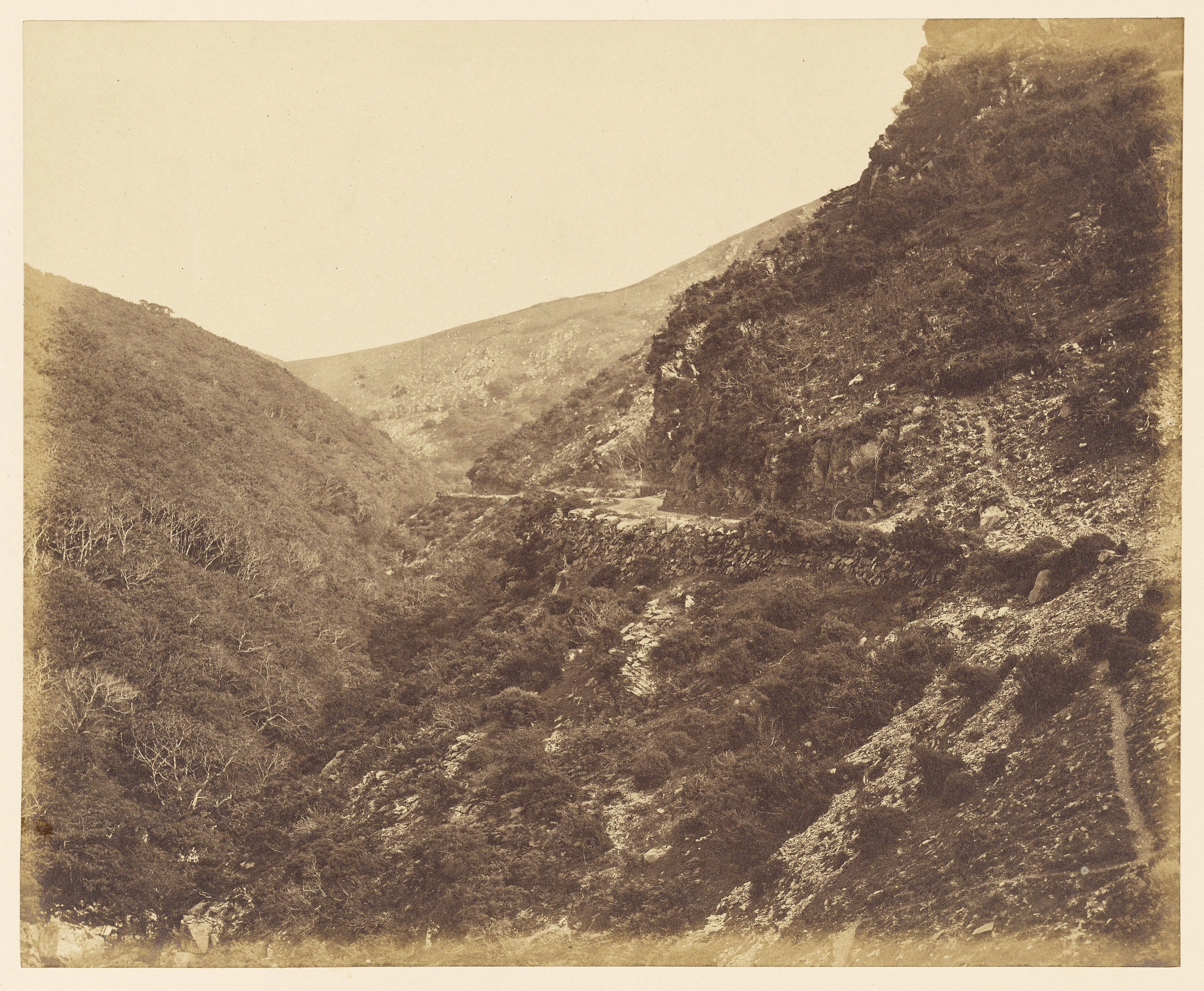 On the road to Watersmeet, near Lynton, North Devon