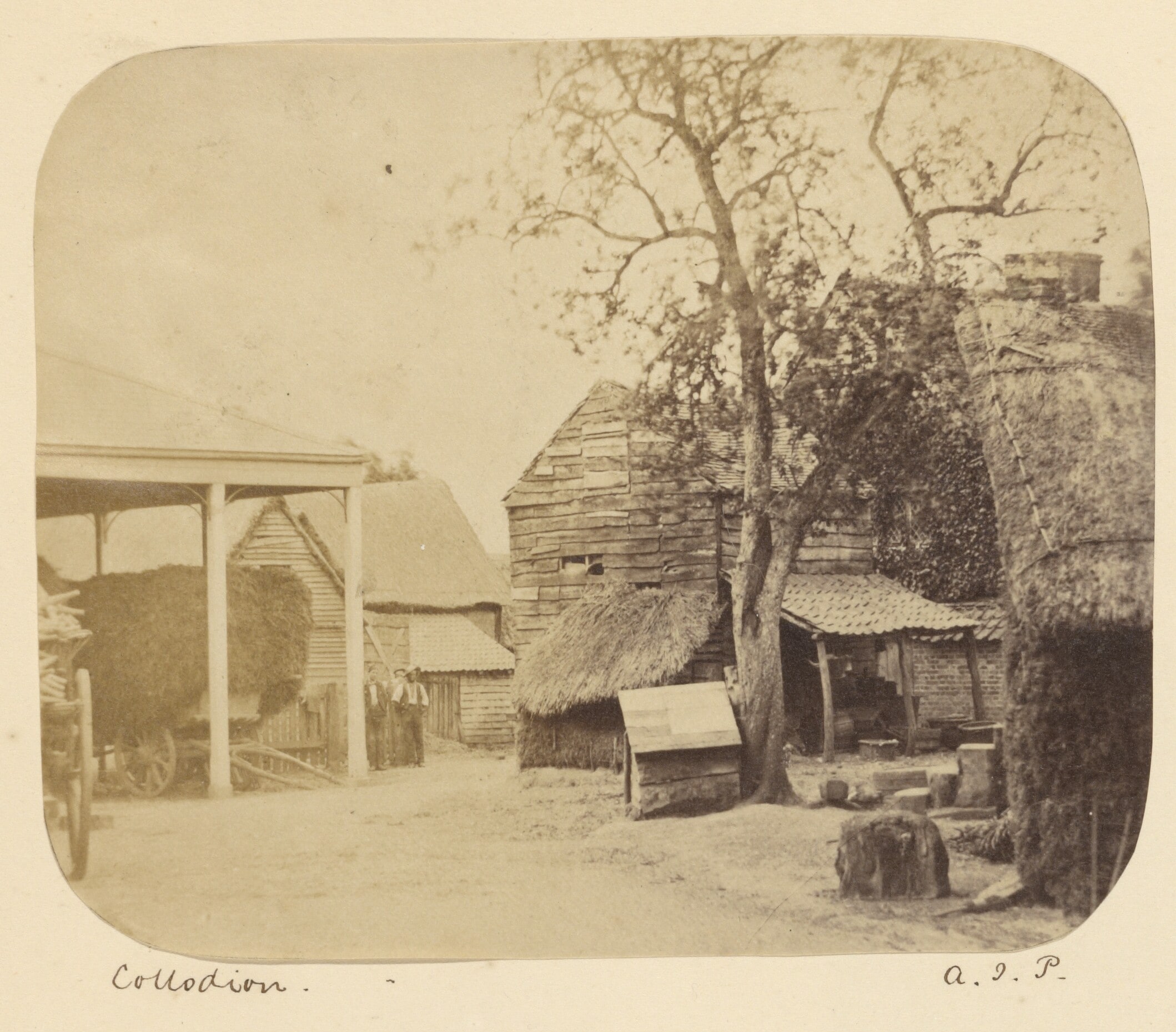 A Farm Yard