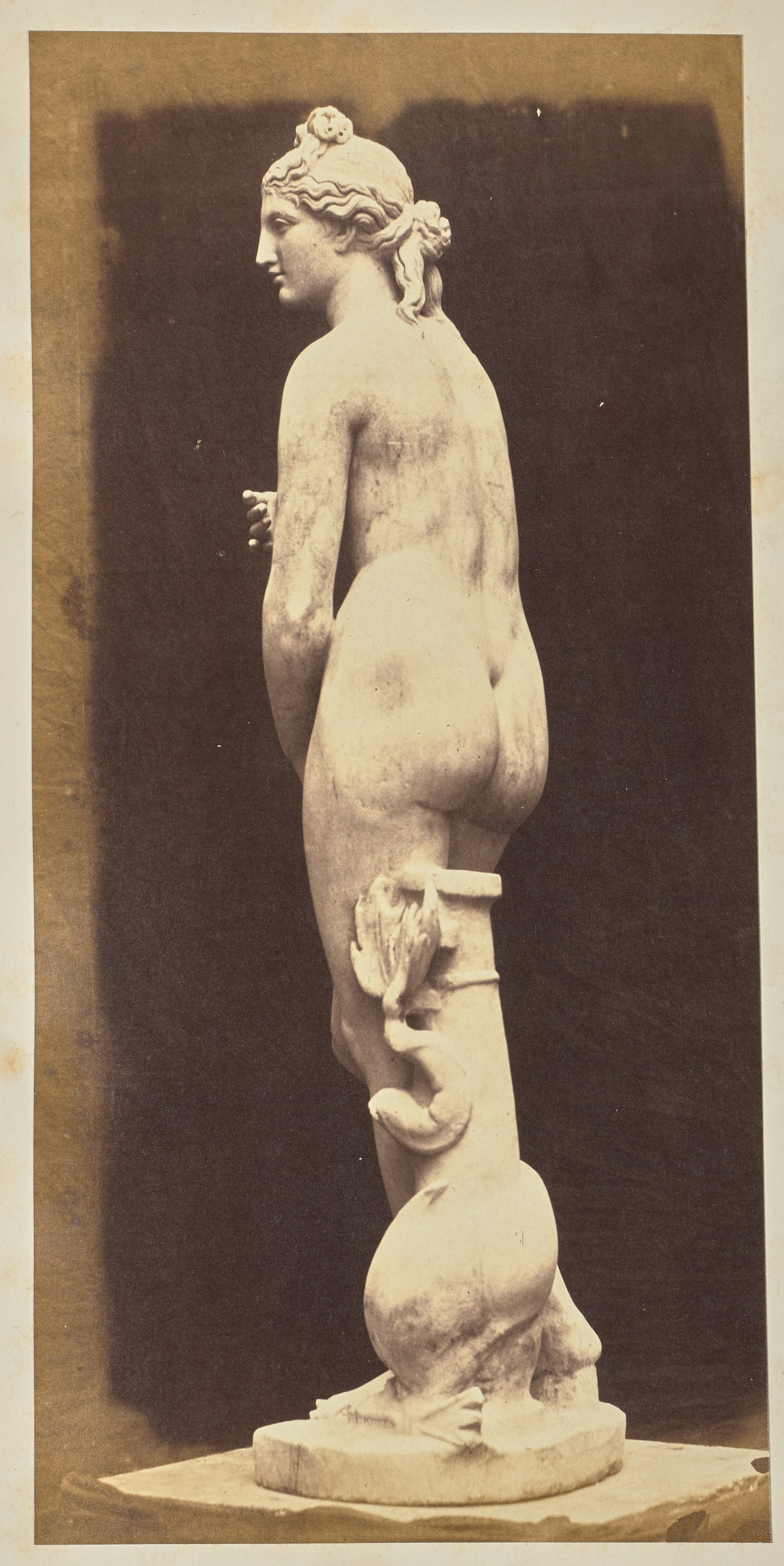 [Venus]