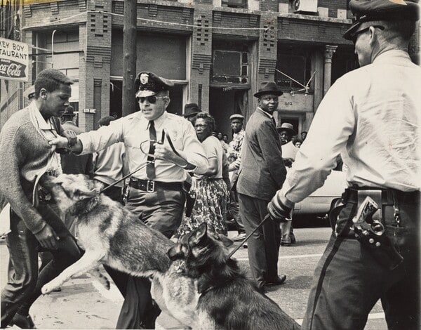 [Police using dogs to attack protestors in Birmingham, Alabama]