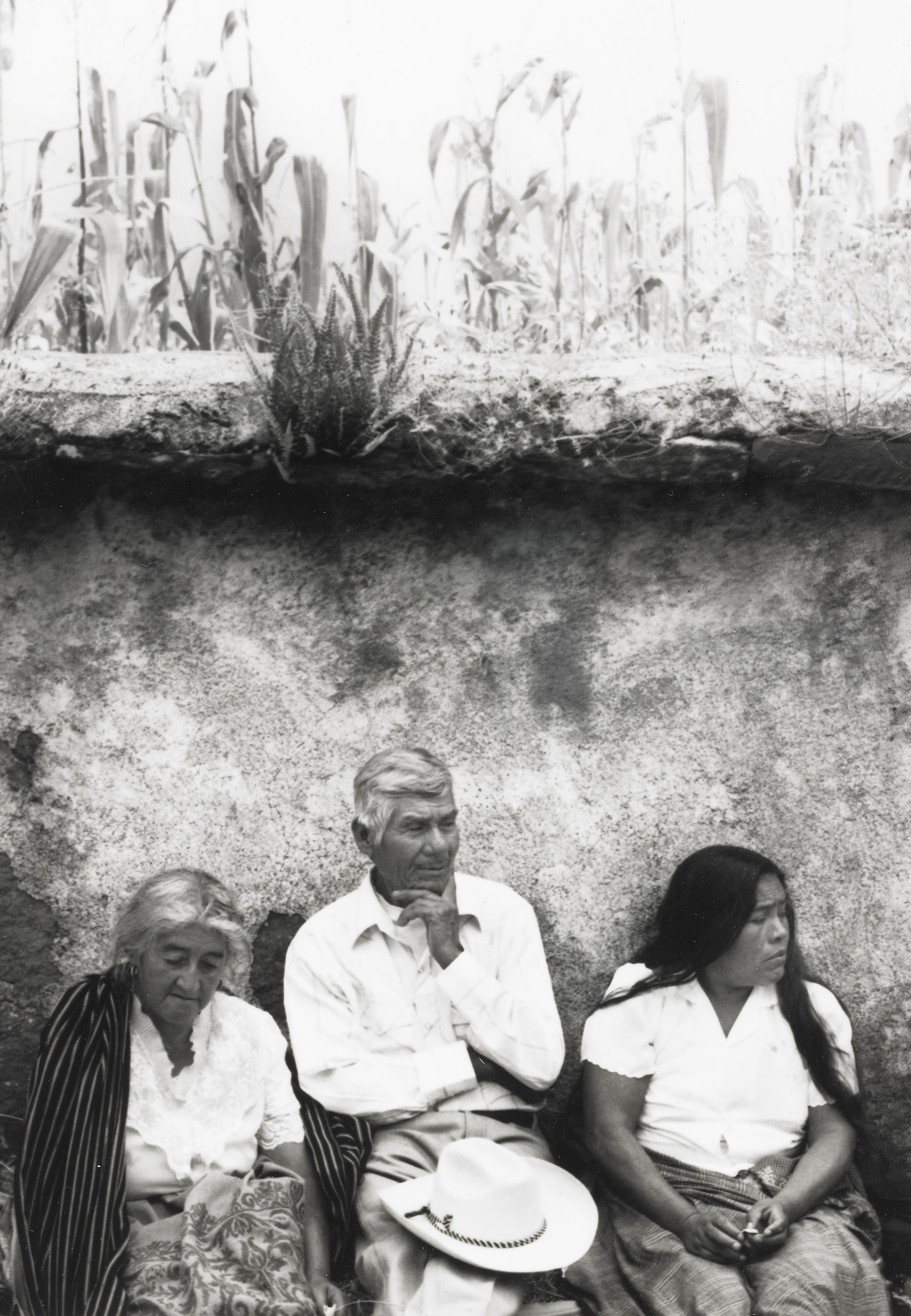 Under the Corn (como se pasa la vida), Michoacán, Mexico