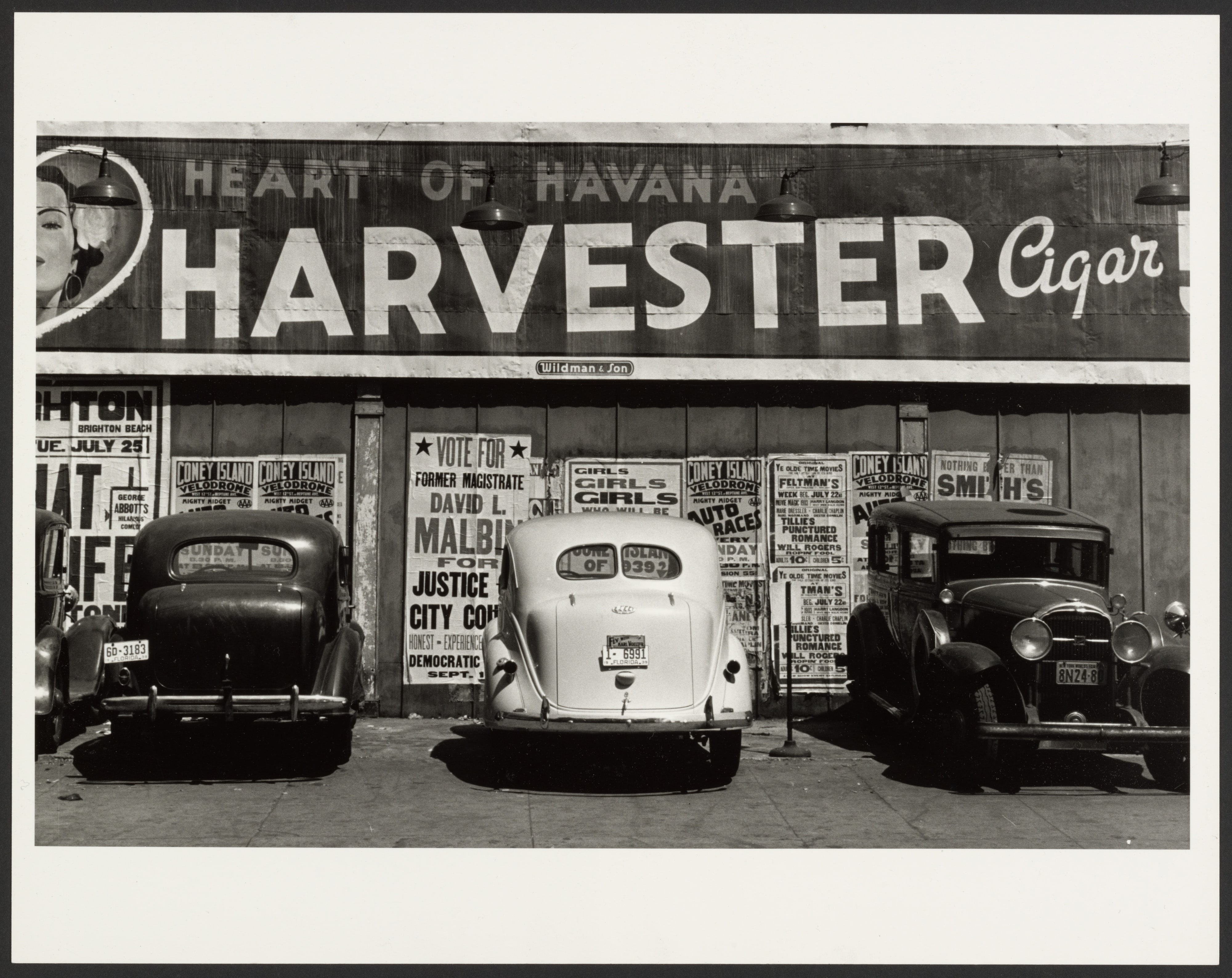 Harvester, Coney Island