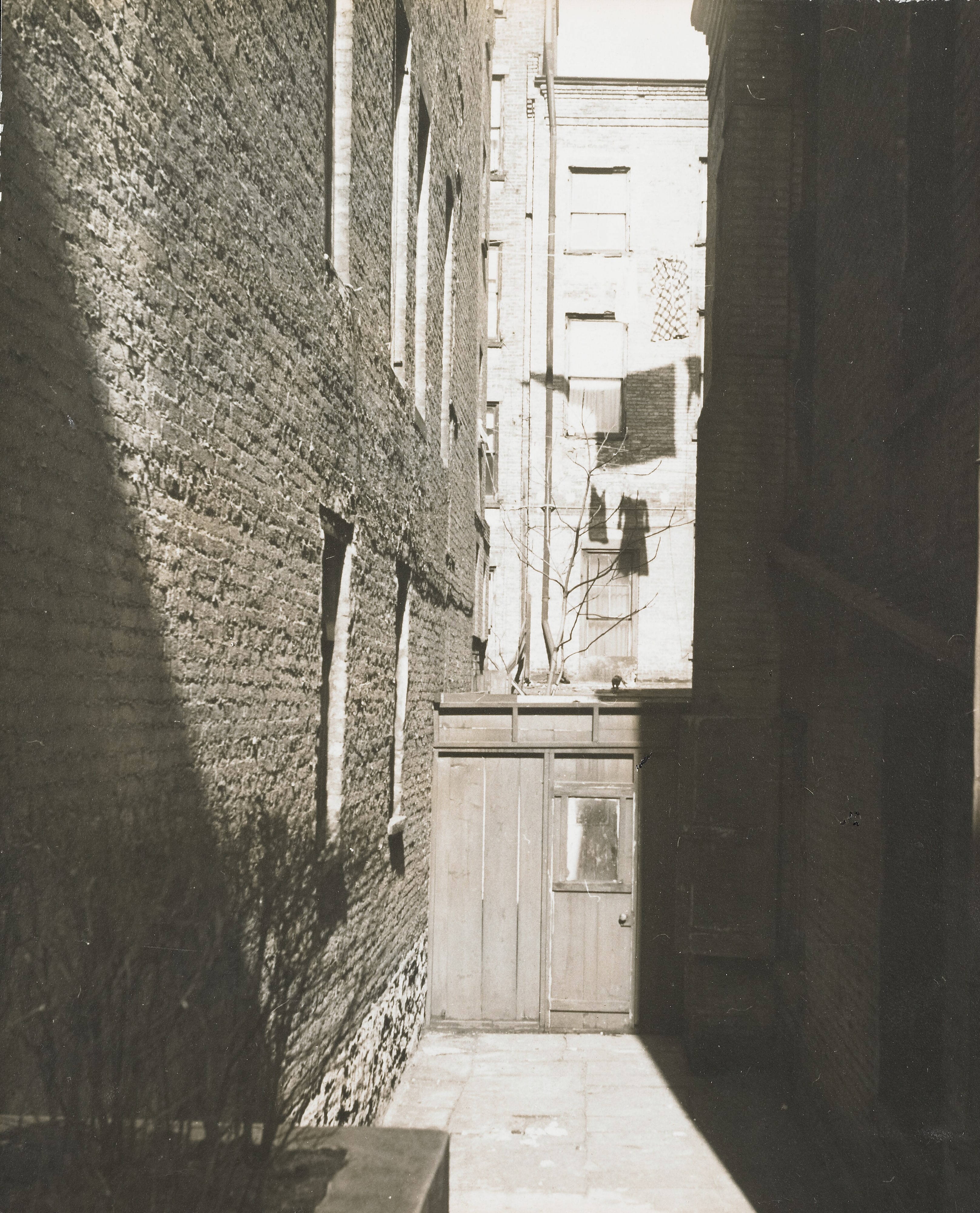 New York Alley
