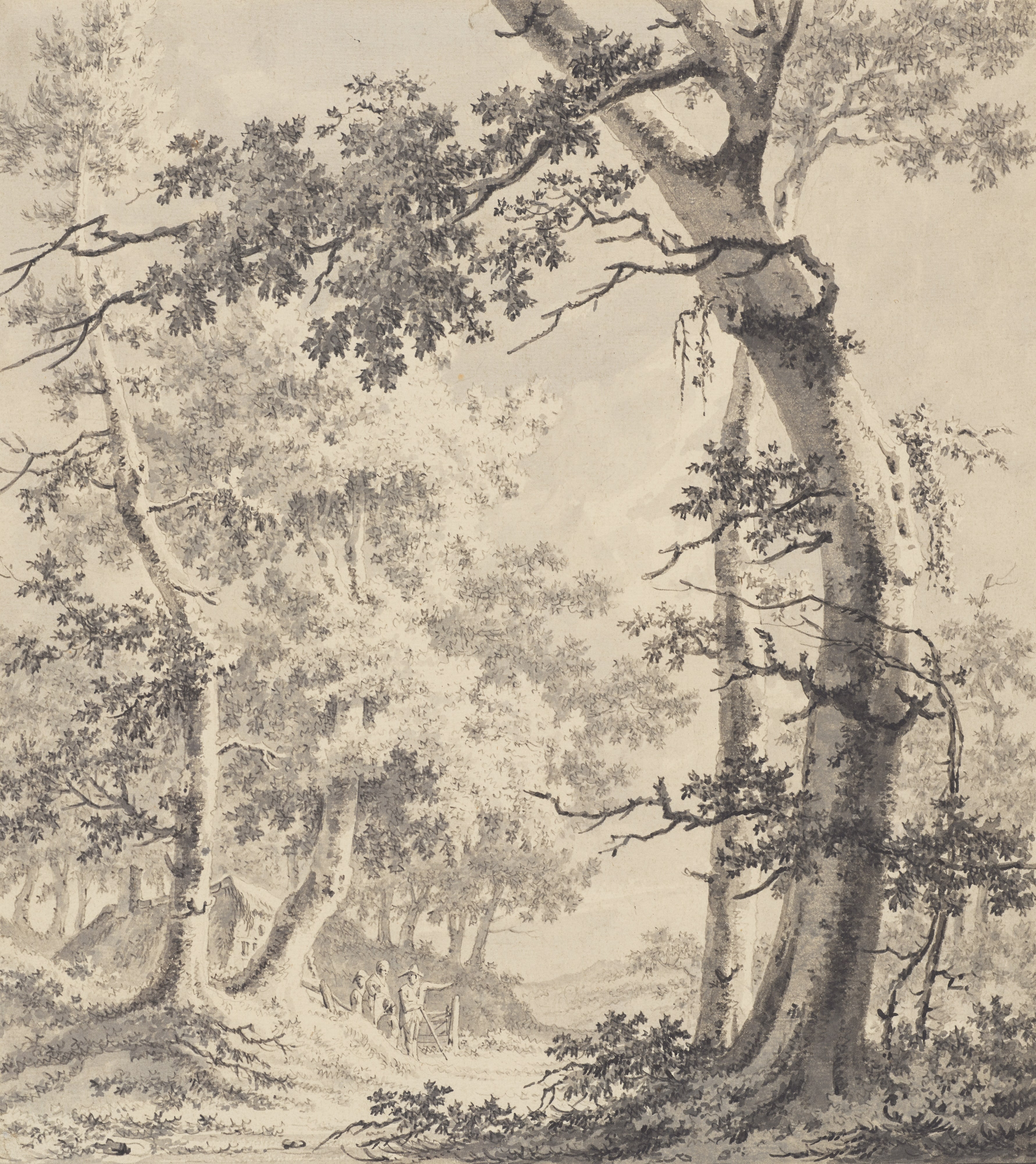Wooded Landscape