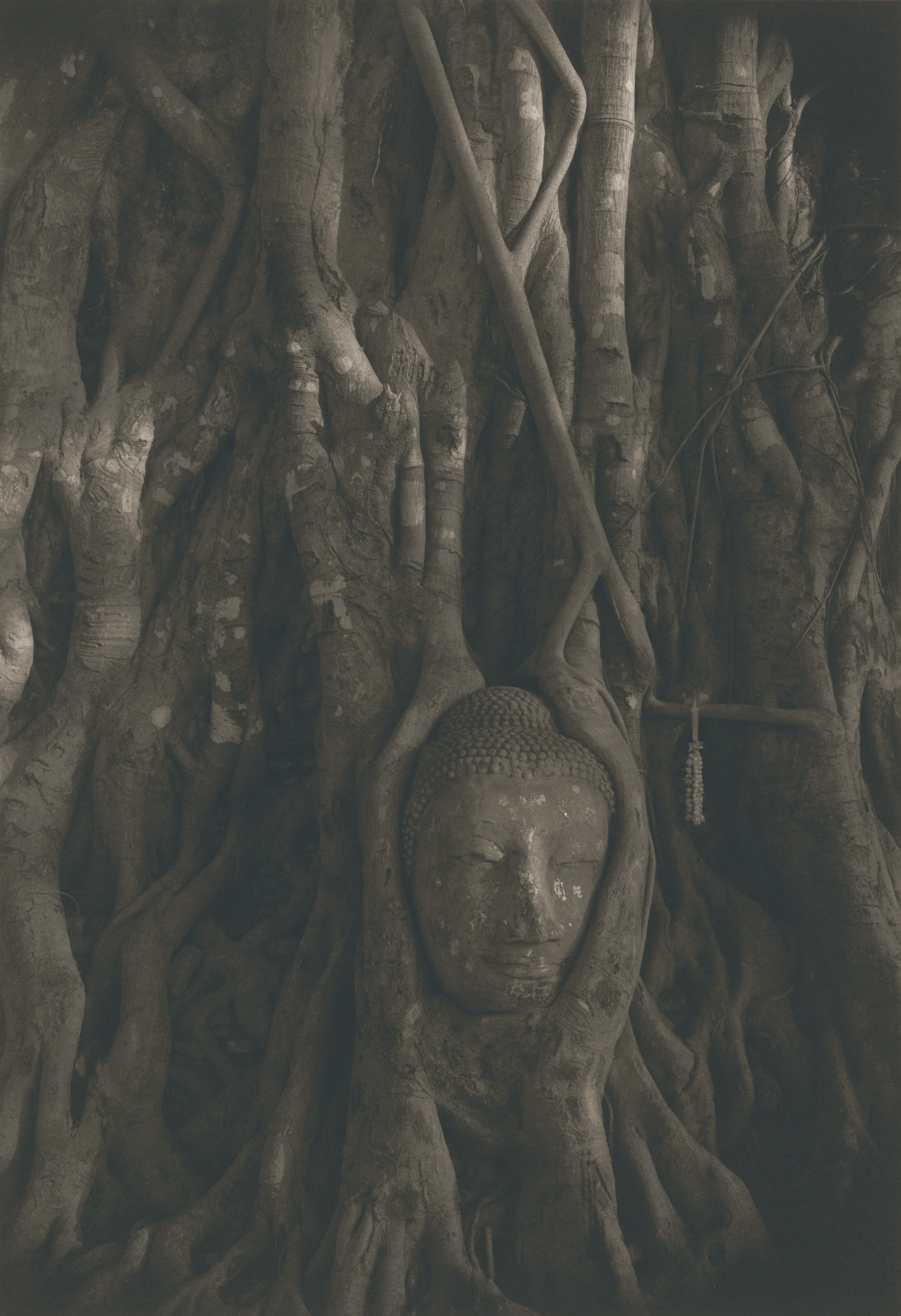 Ayutthaya #36, Thailand