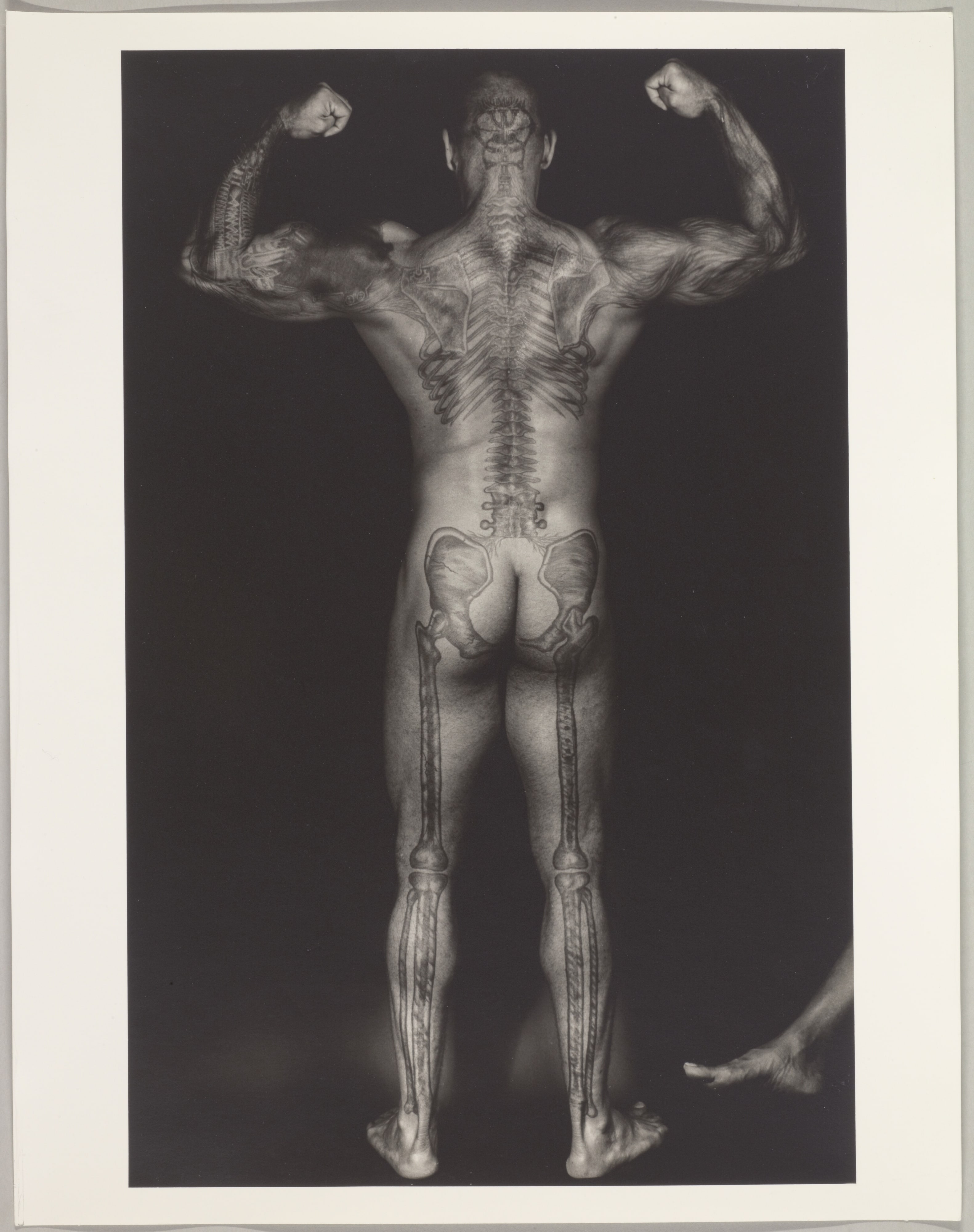 [Tattooed Man with Arms Flexed]
