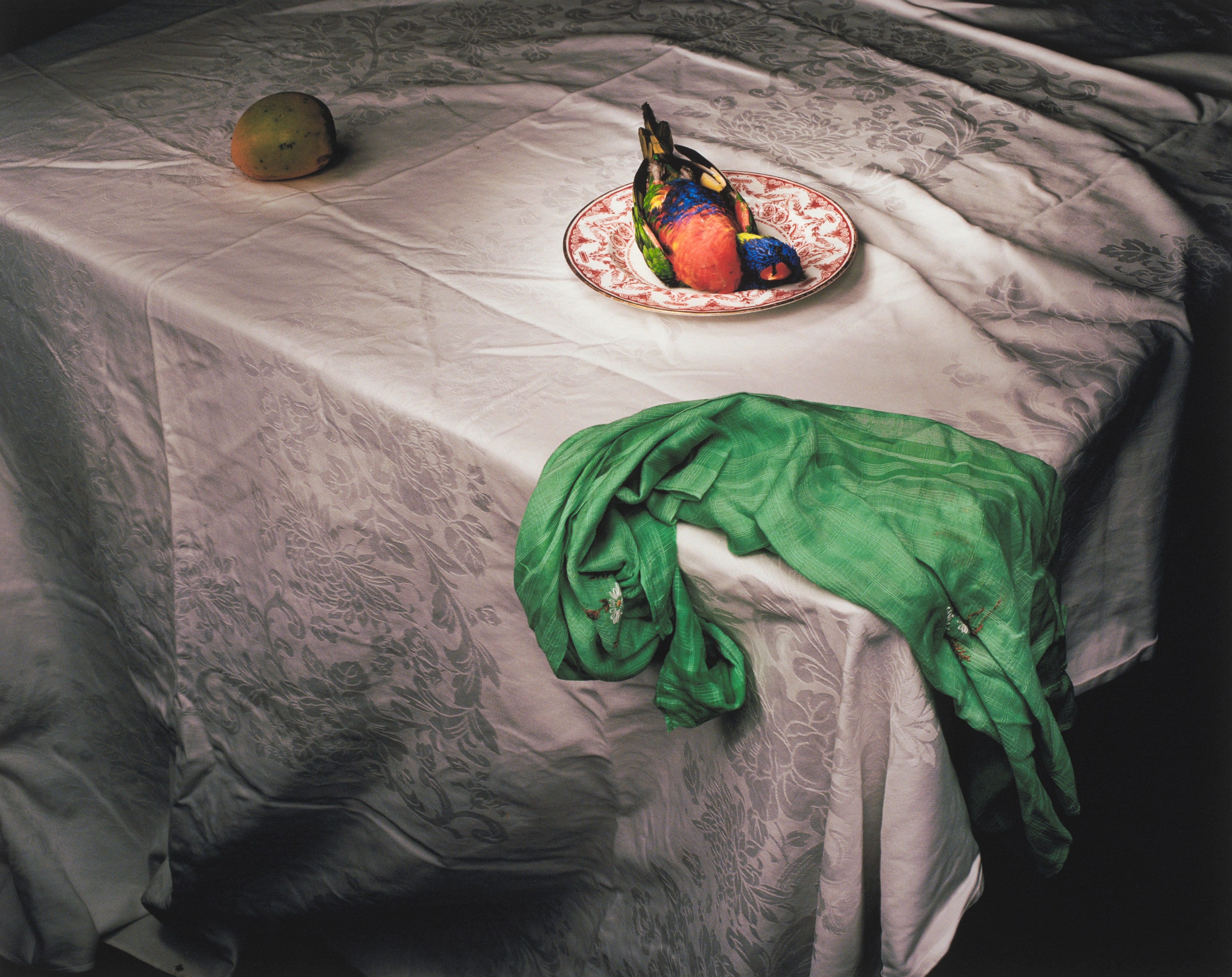 Lorikeet with Green Cloth