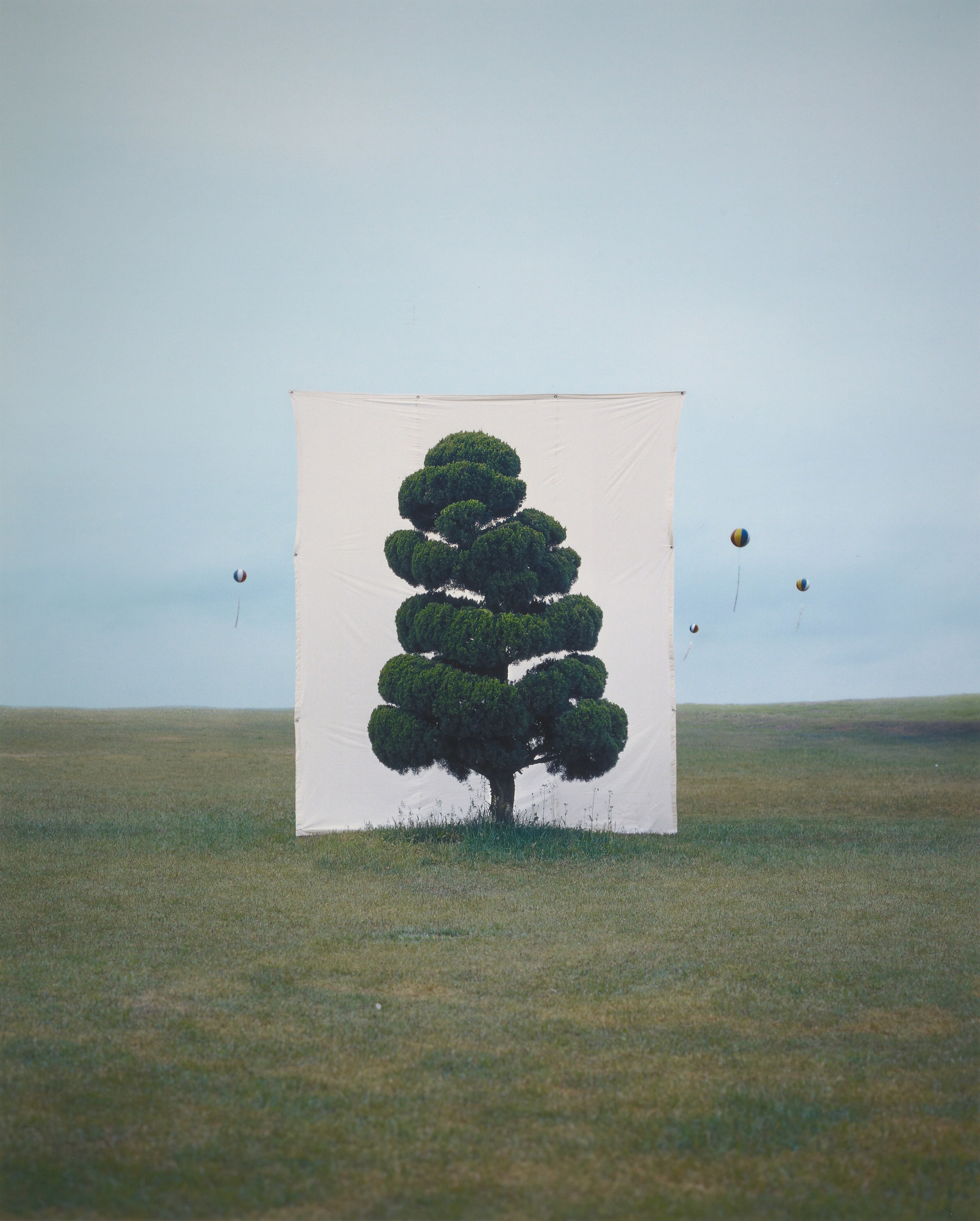 [Tree #2]