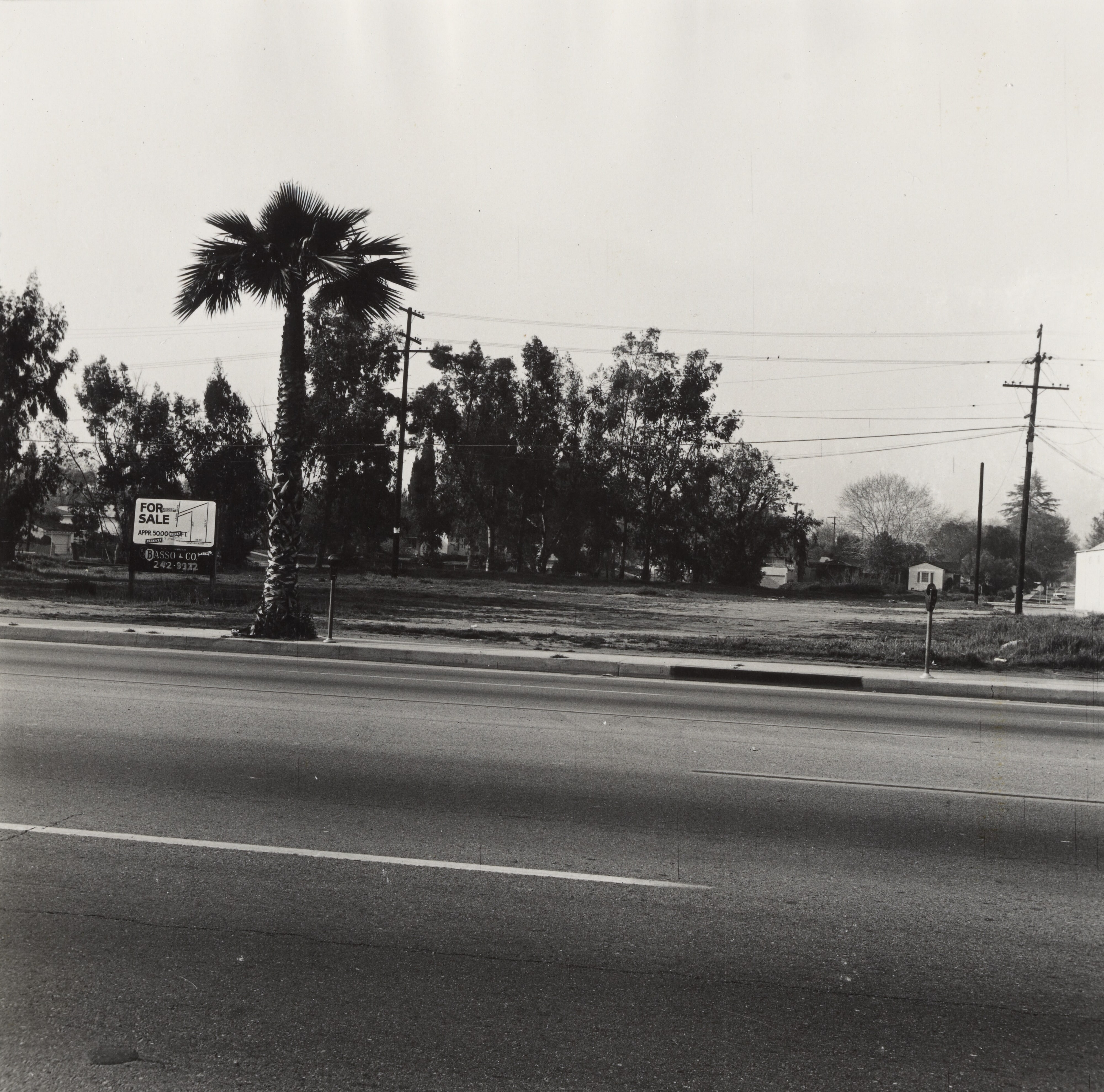 12231 Ventura Blvd., Studio City