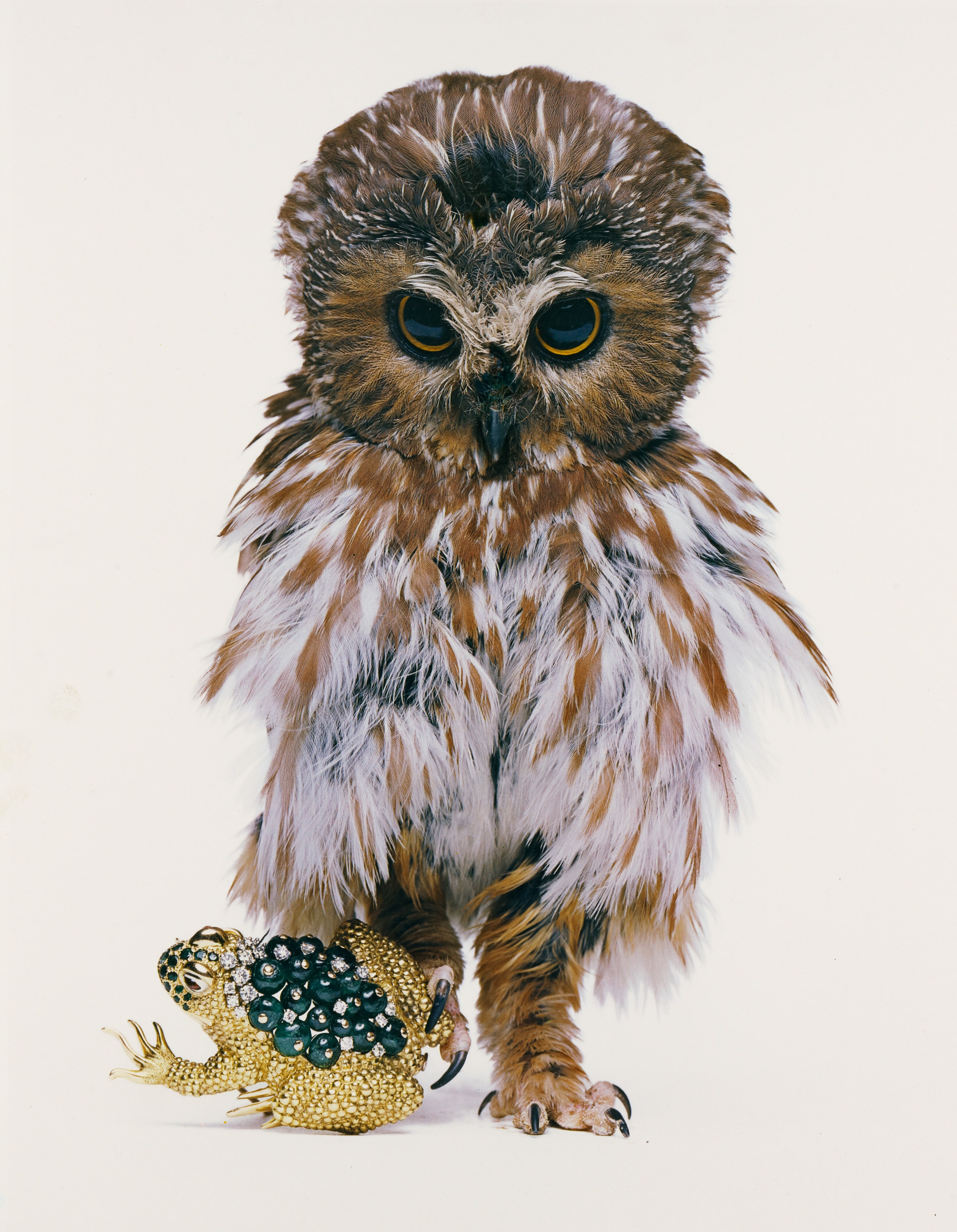 David Webb, Jeweled Toad, New York