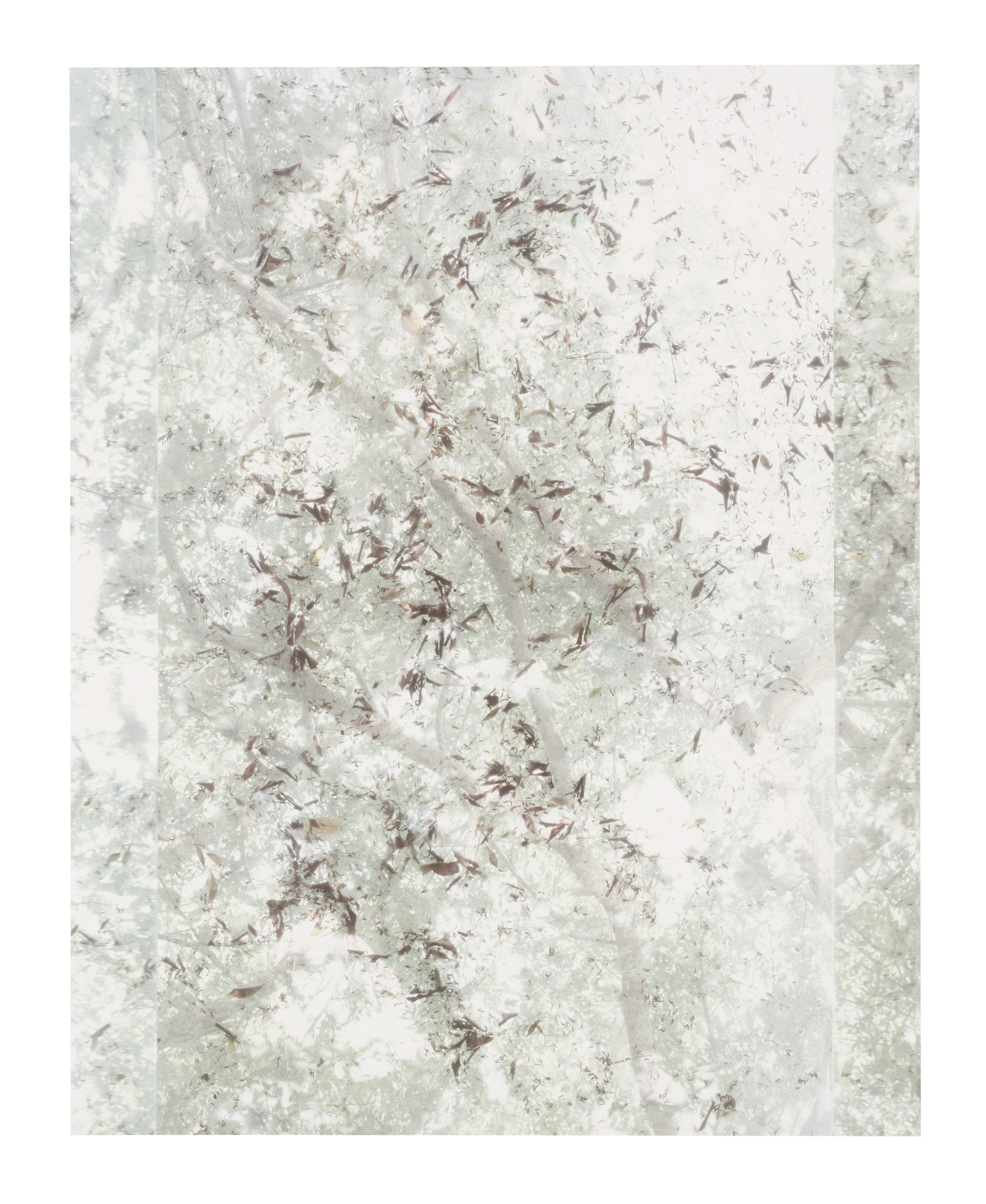 Untitled (Sheats-Goldstein House, #43)