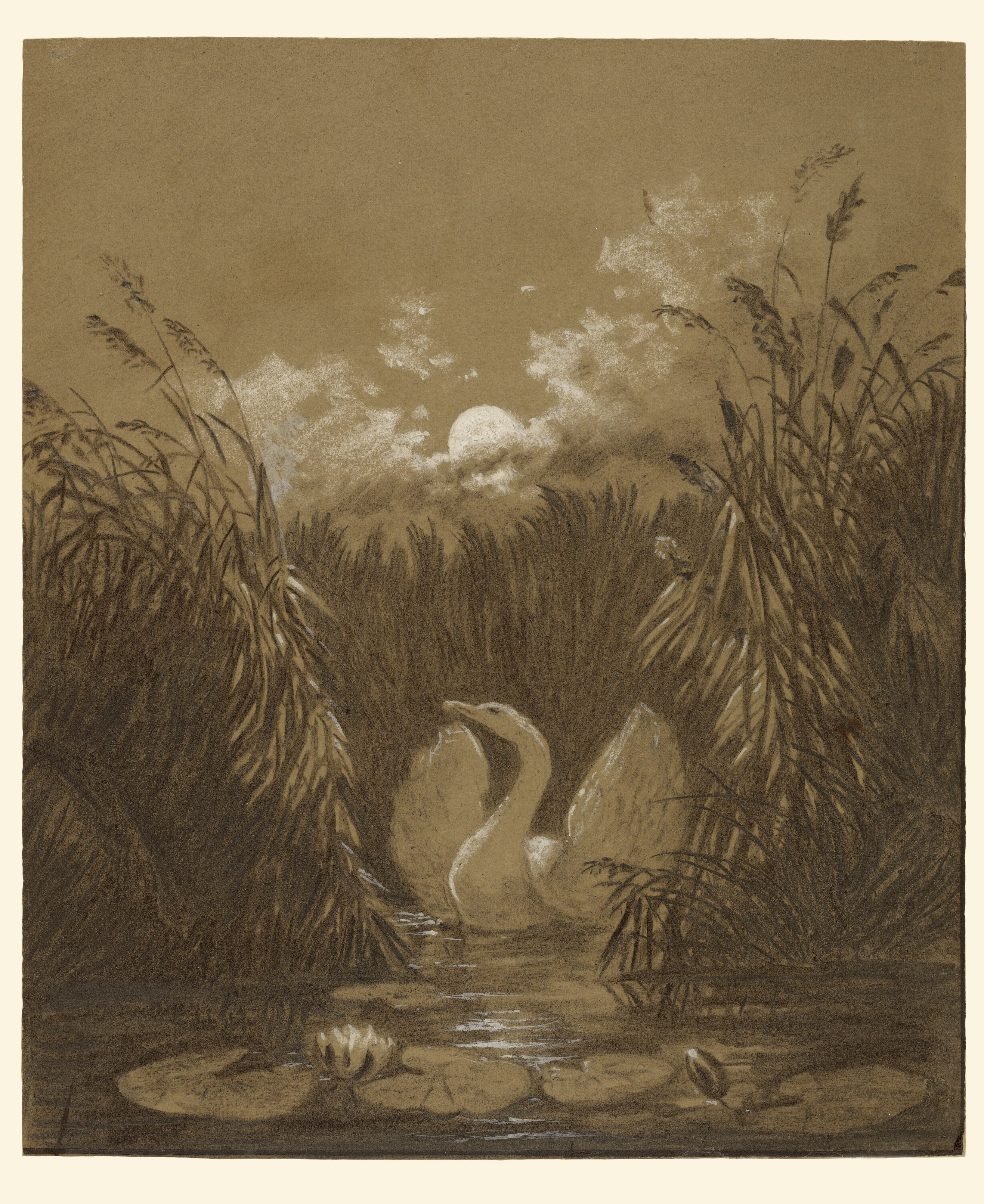 A Swan Among the Reeds, by Moonlight