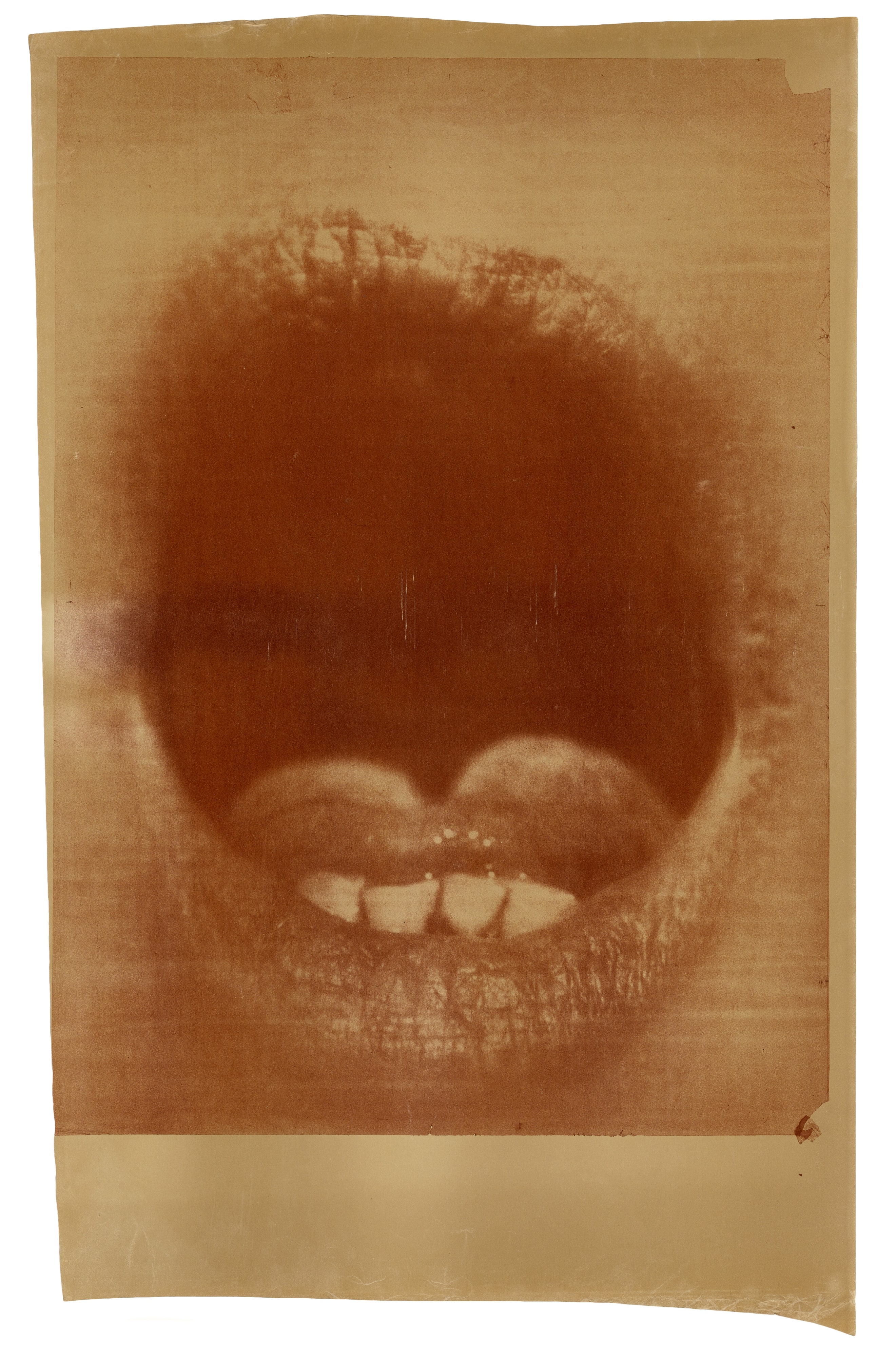 Untitled (#4)