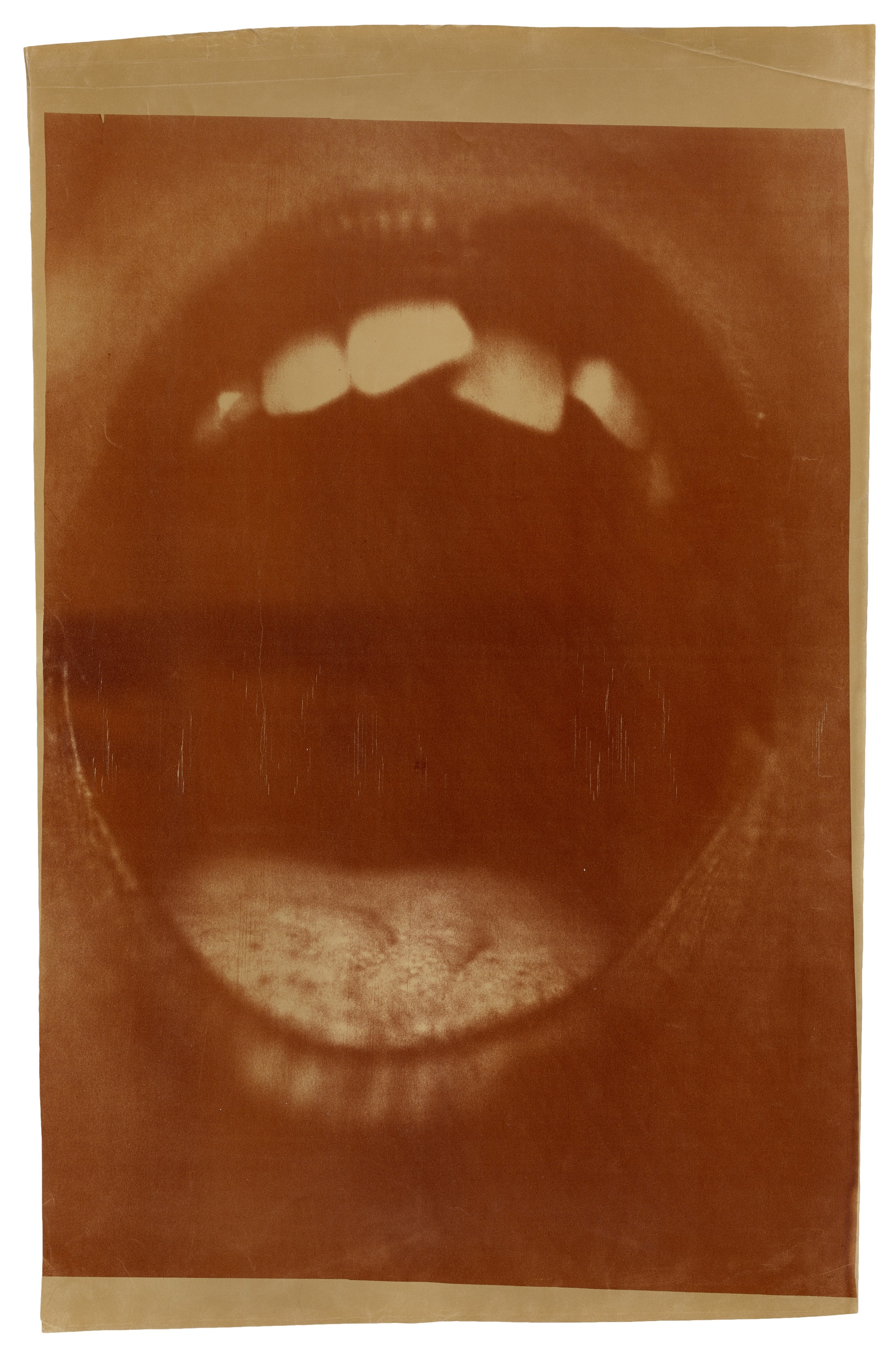 Untitled (#2)