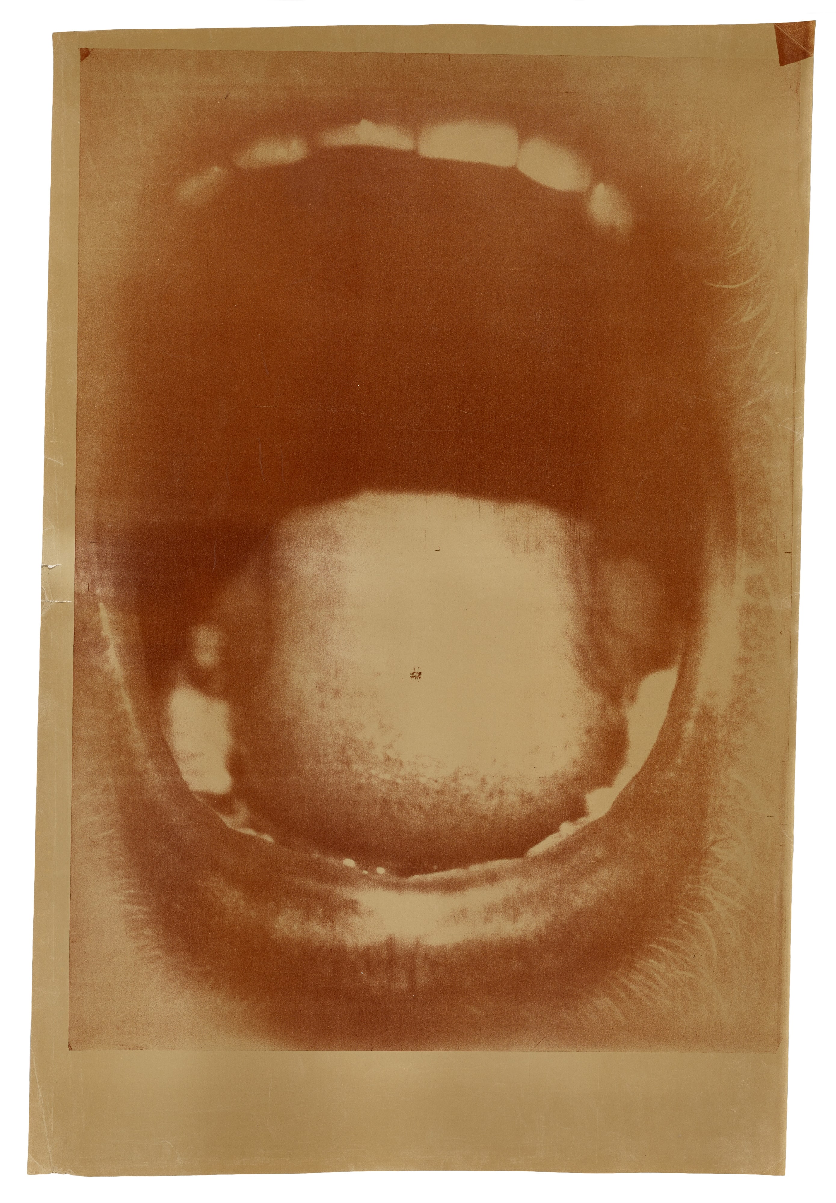 Untitled (#10)