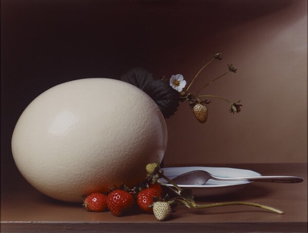 Early American, Strawberries and Ostrich Egg