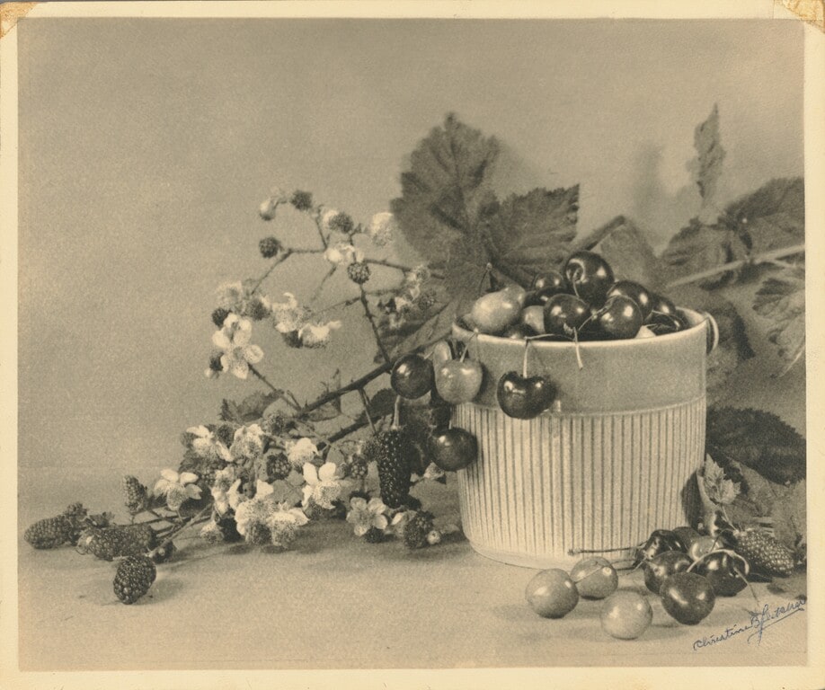 [Bowl of Cherries]