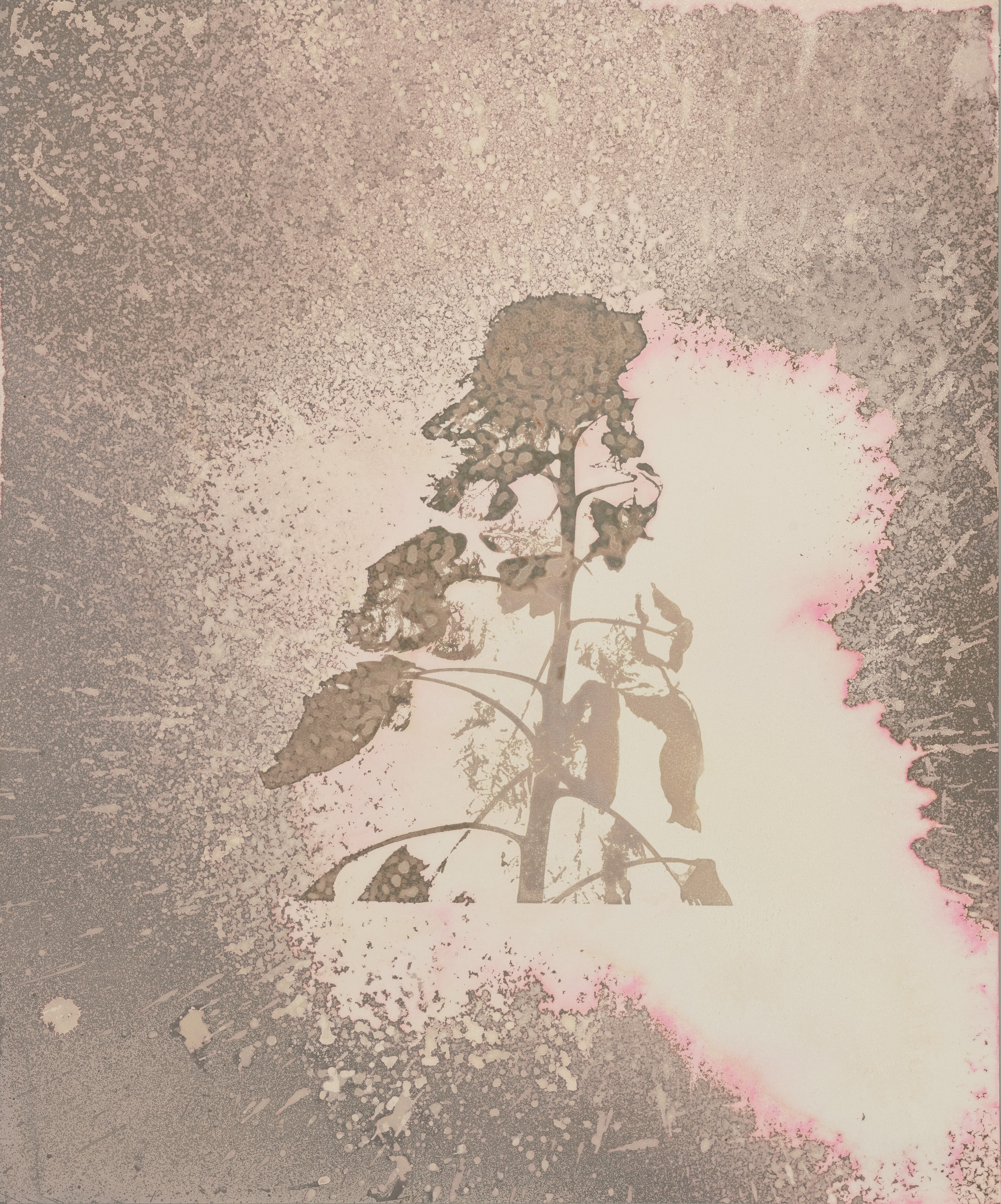 Cosmic Universe III