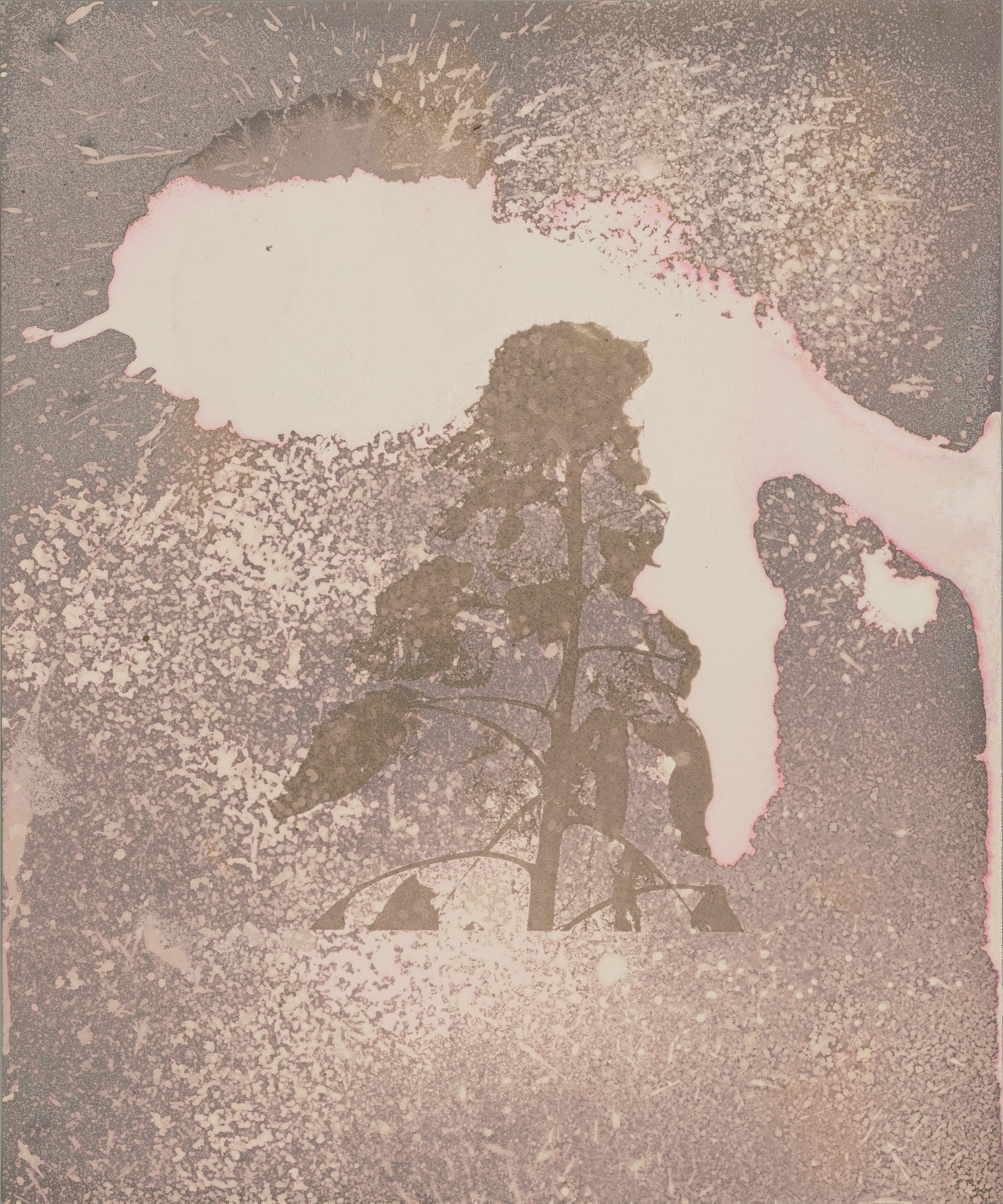 Cosmic Universe IV