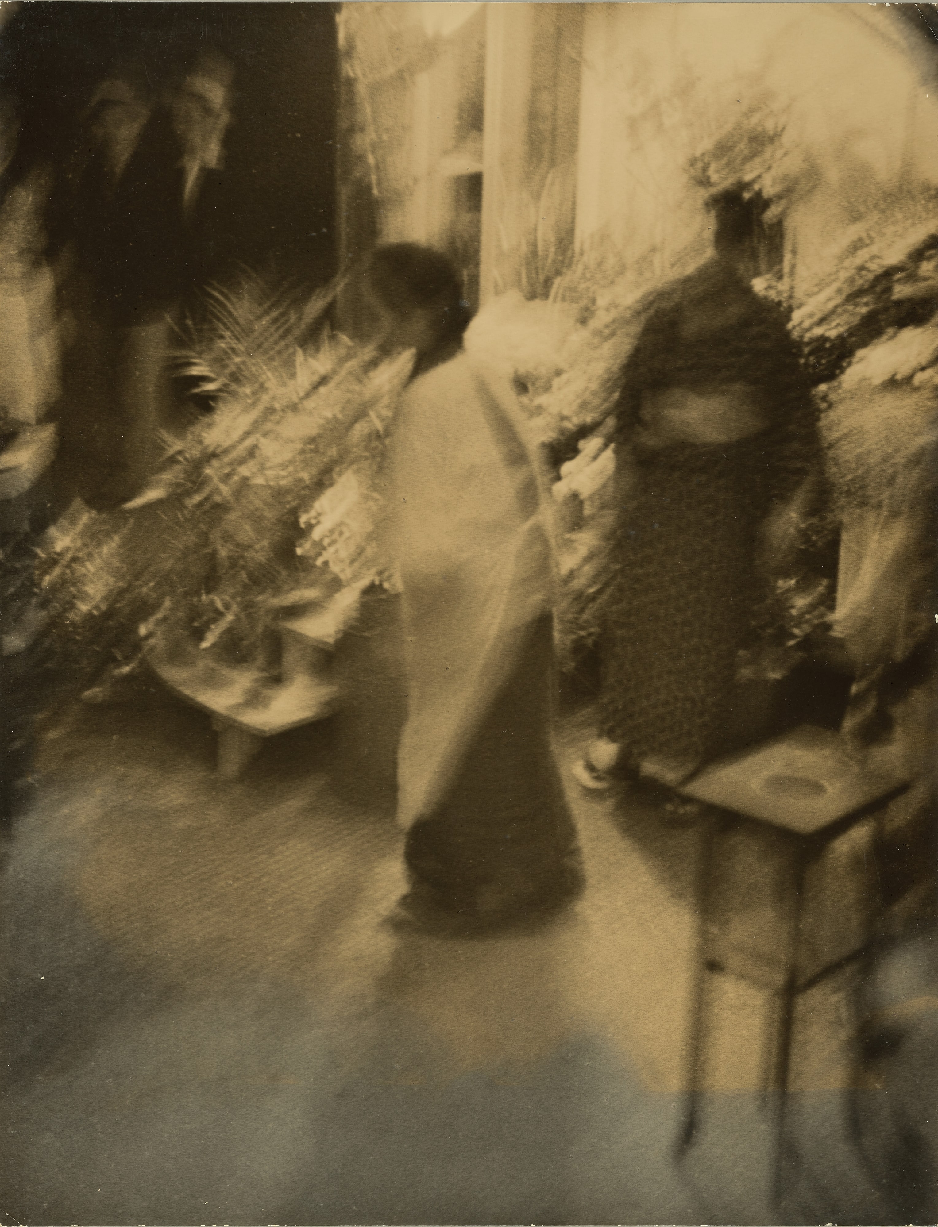 A Flower Shop
