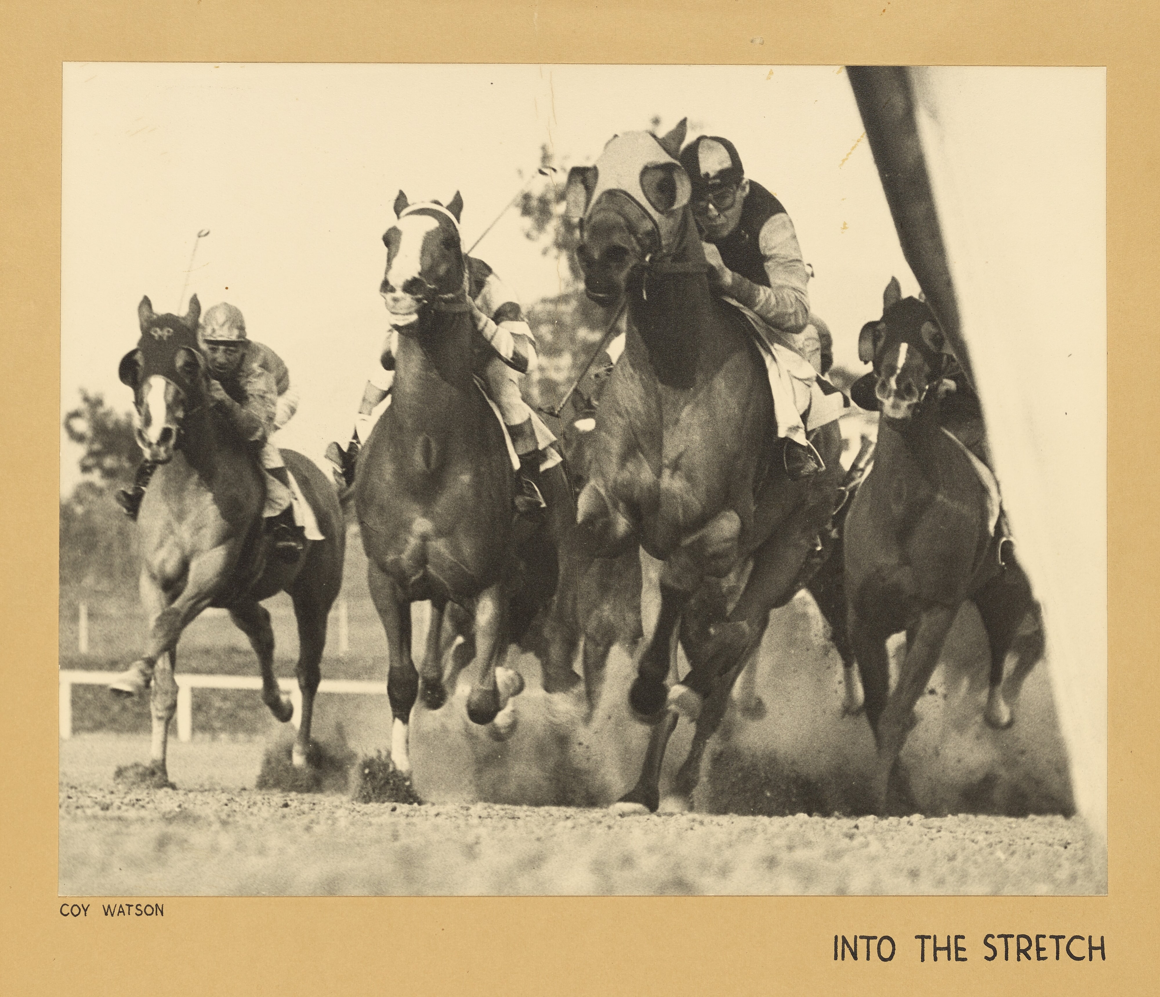 Horseracing Up Close