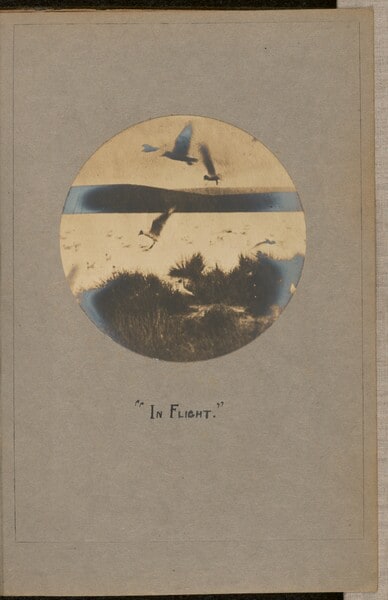 In Flight
