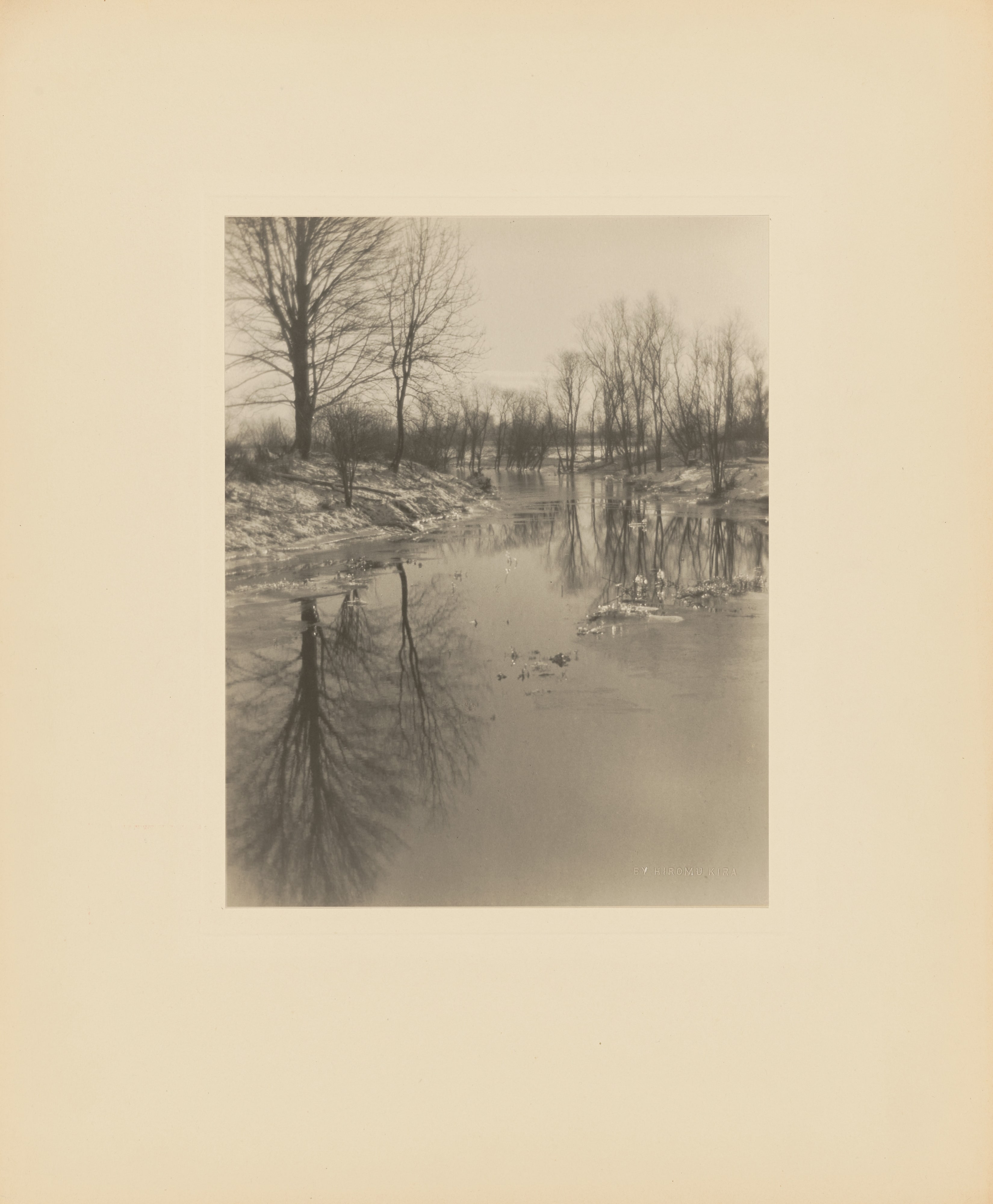 Winter Reflections