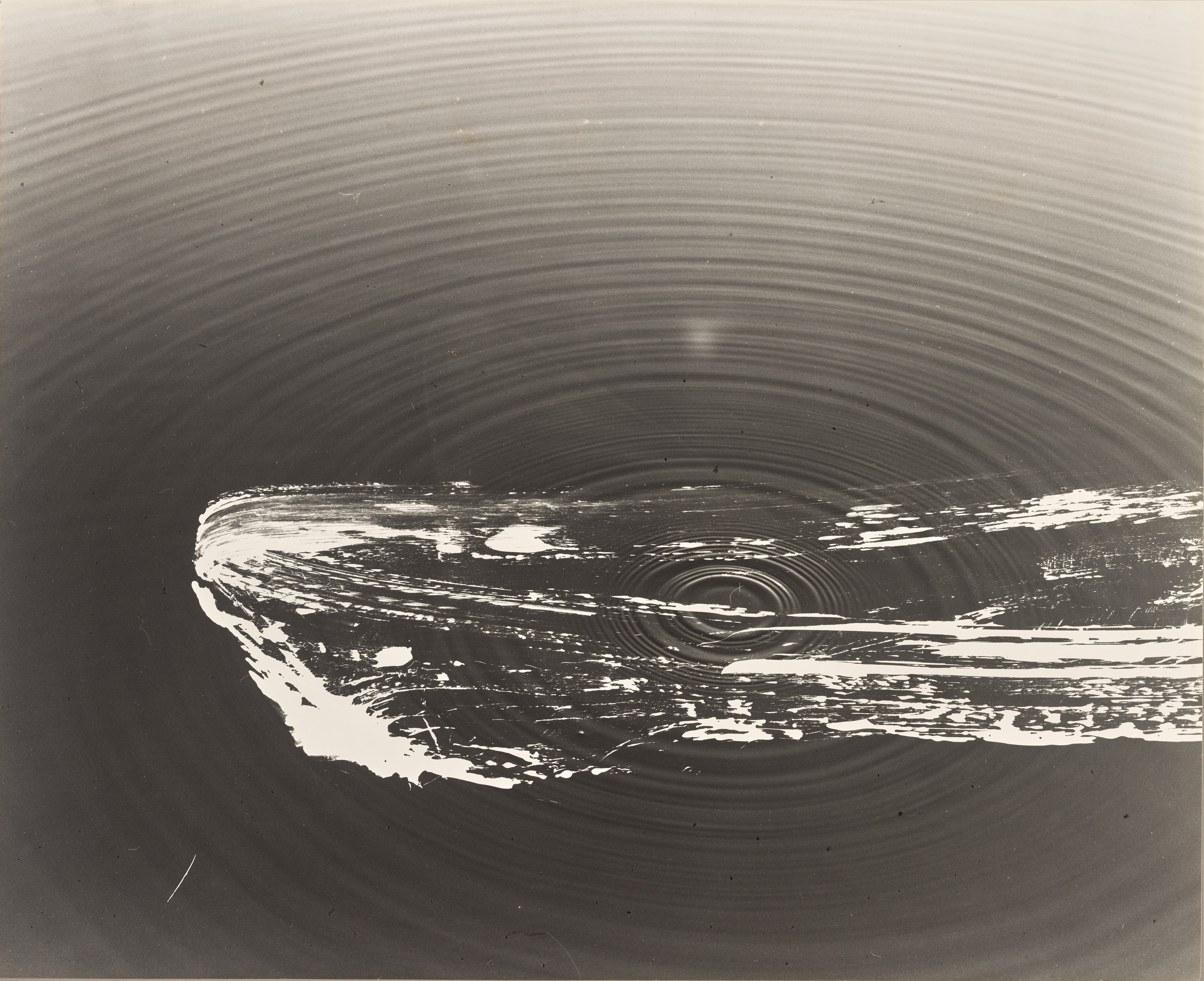 RIPPLE’79 [4]
