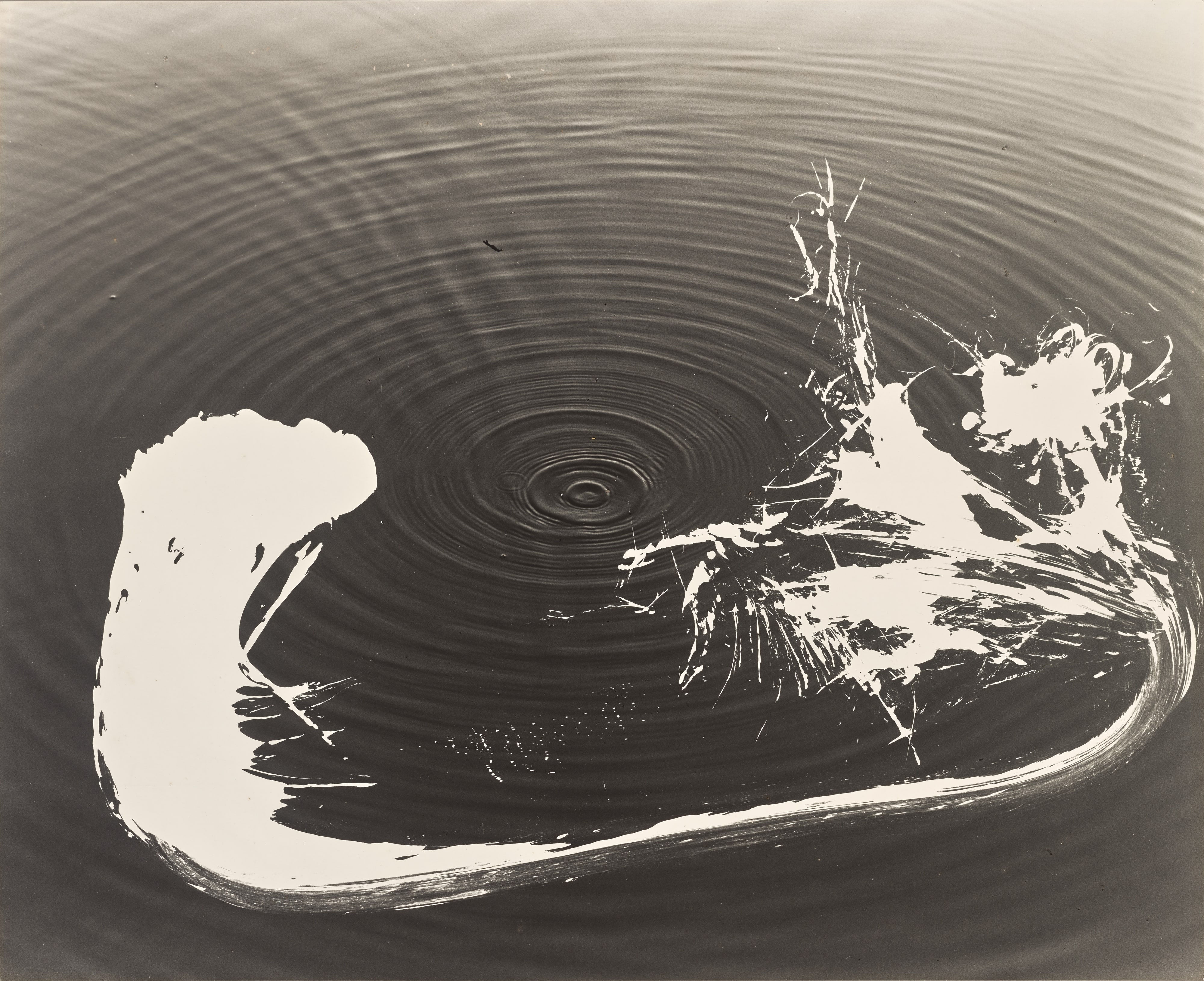 RIPPLE’79 [5]