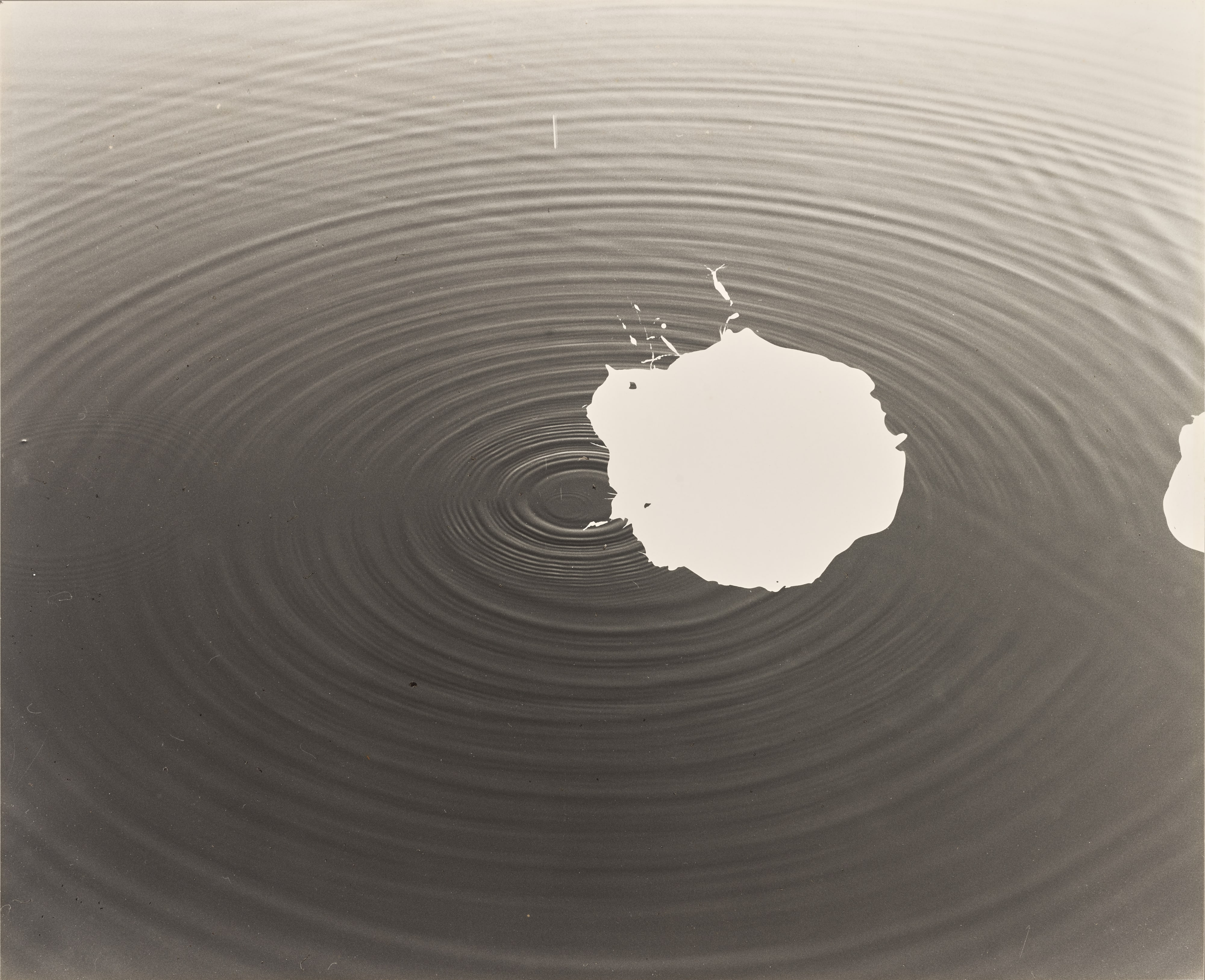 RIPPLE’79 [6]