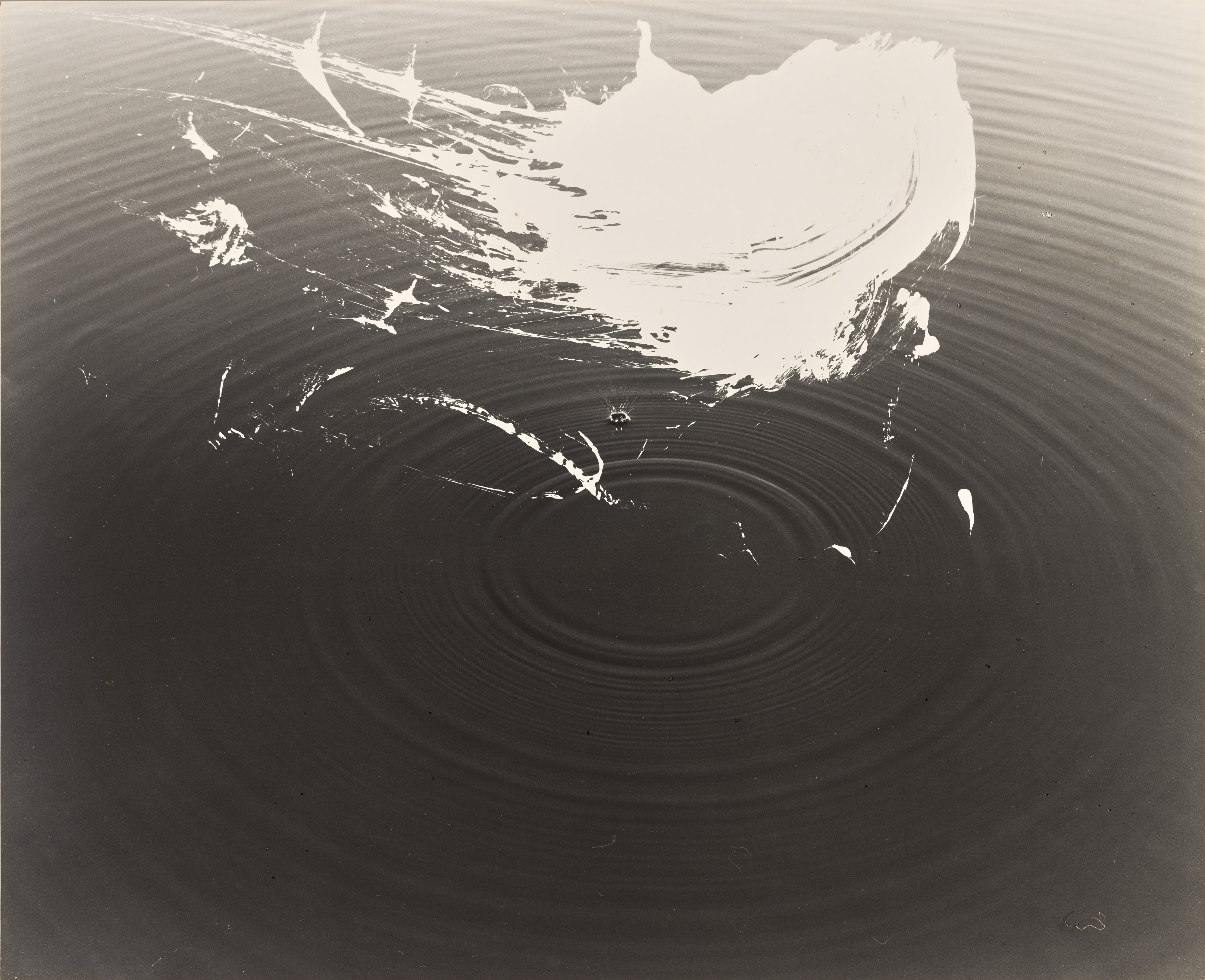 RIPPLE’79 [15]