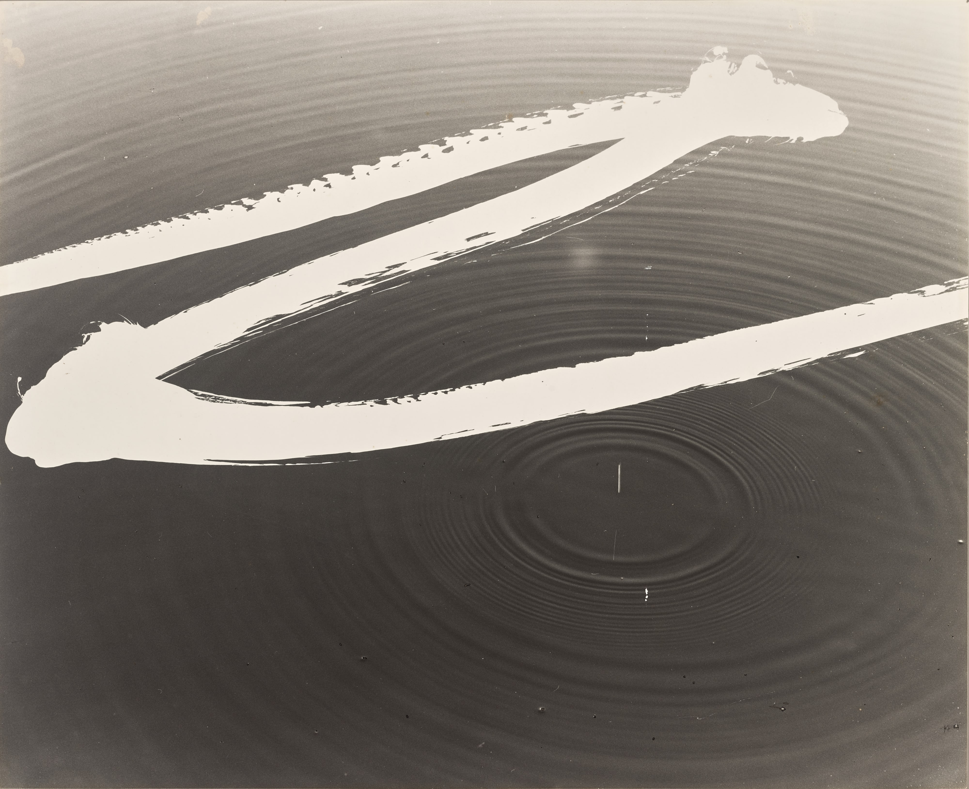 RIPPLE’79 [16]