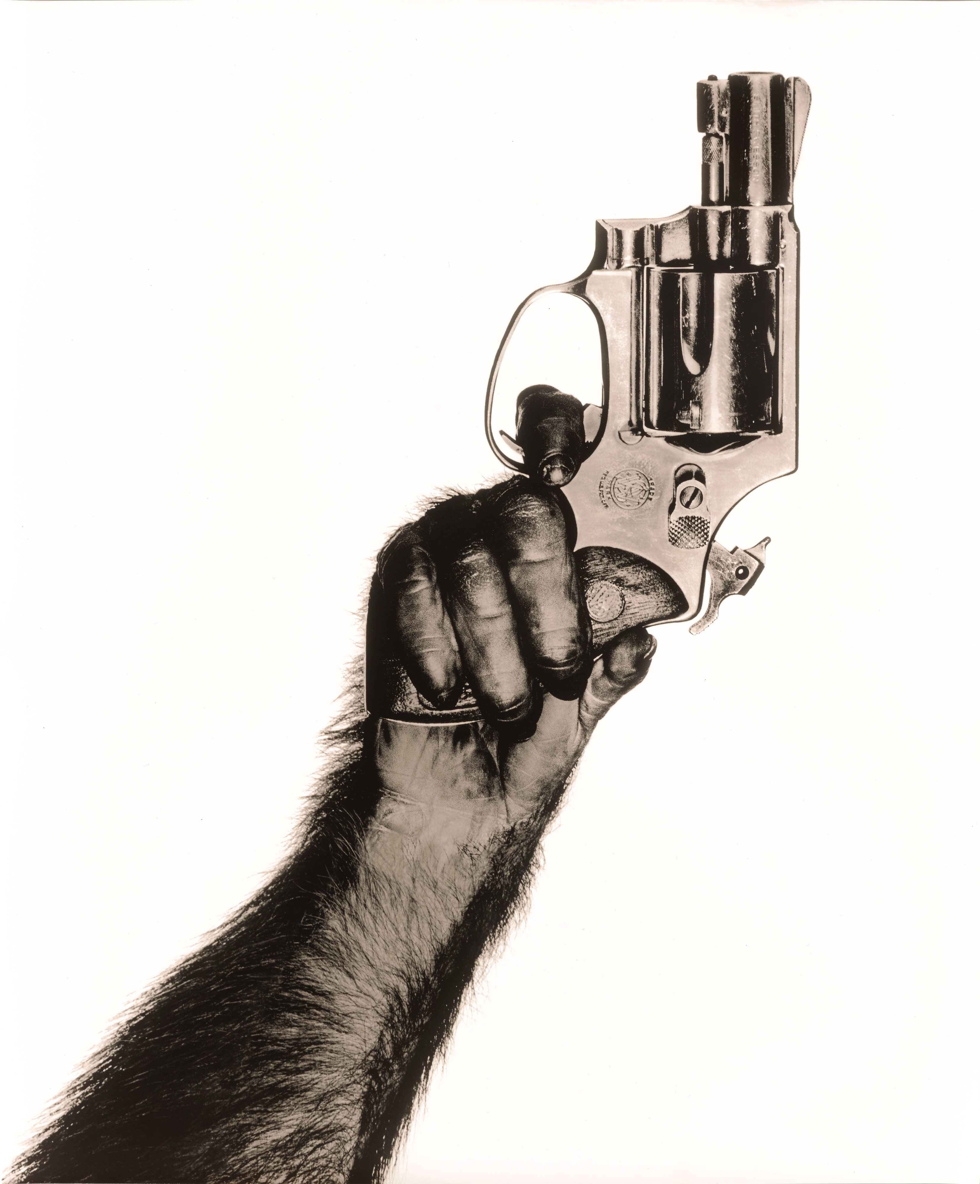Monkey with Gun, New York City, 1992
