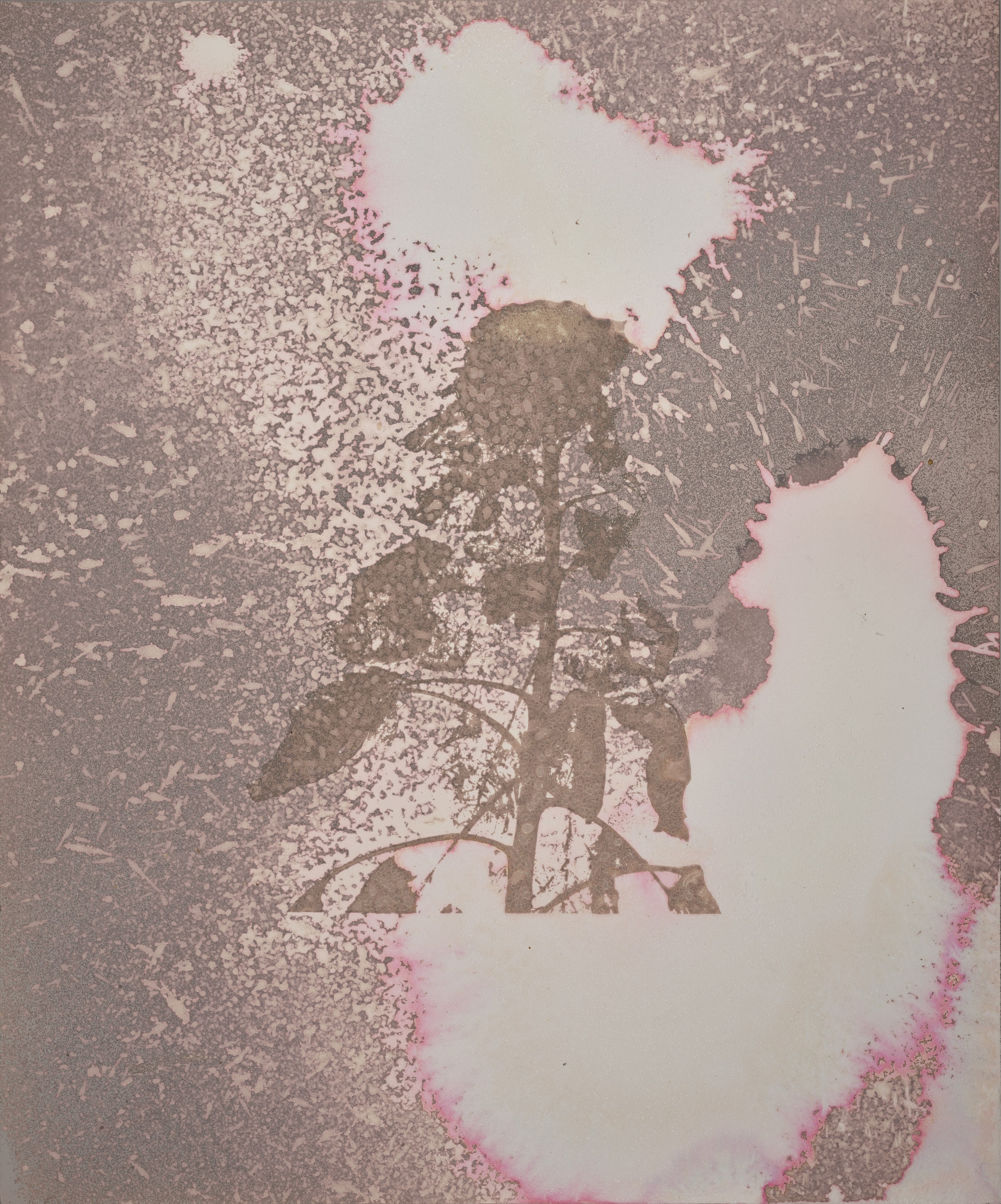 Cosmic Universe II