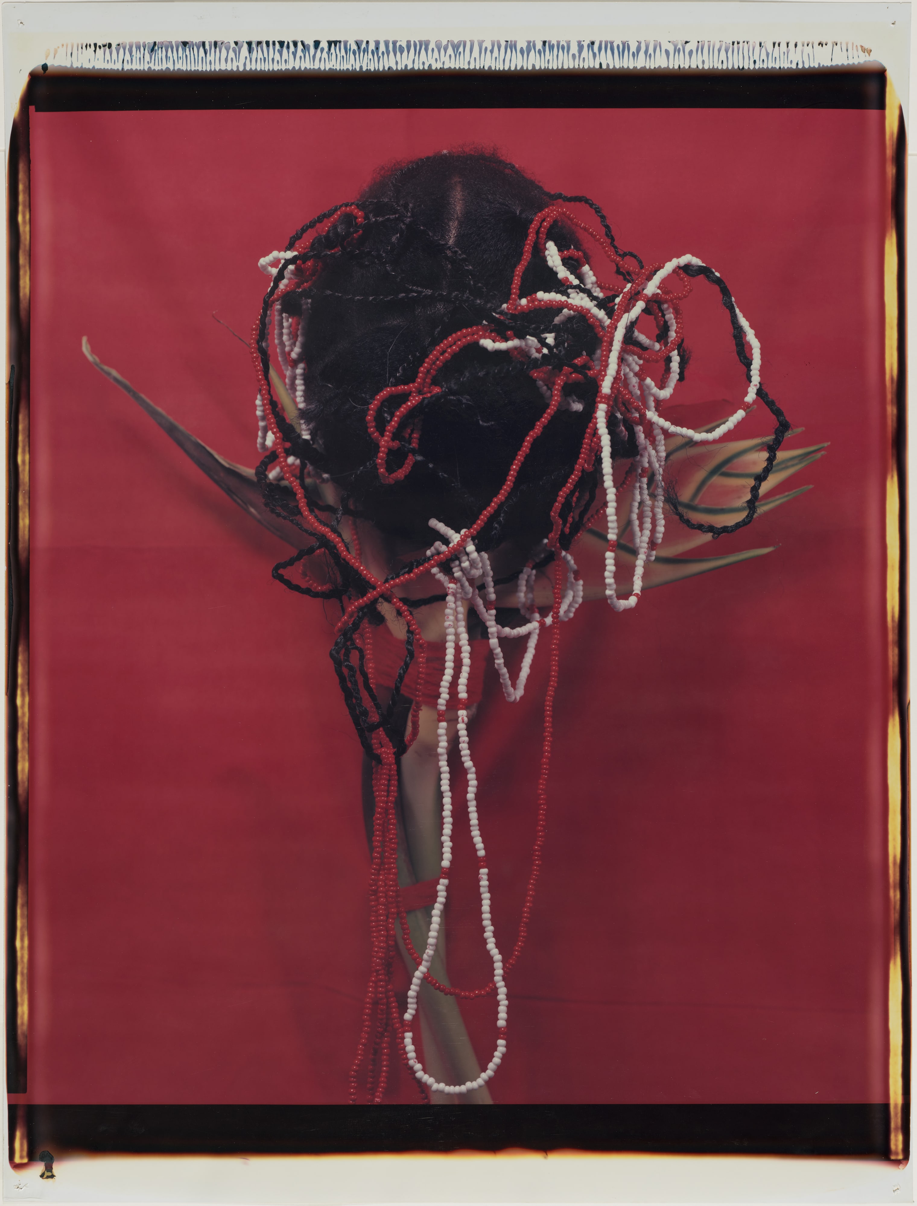 Untitled [center]