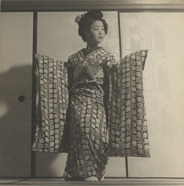 Apprentice Geisha