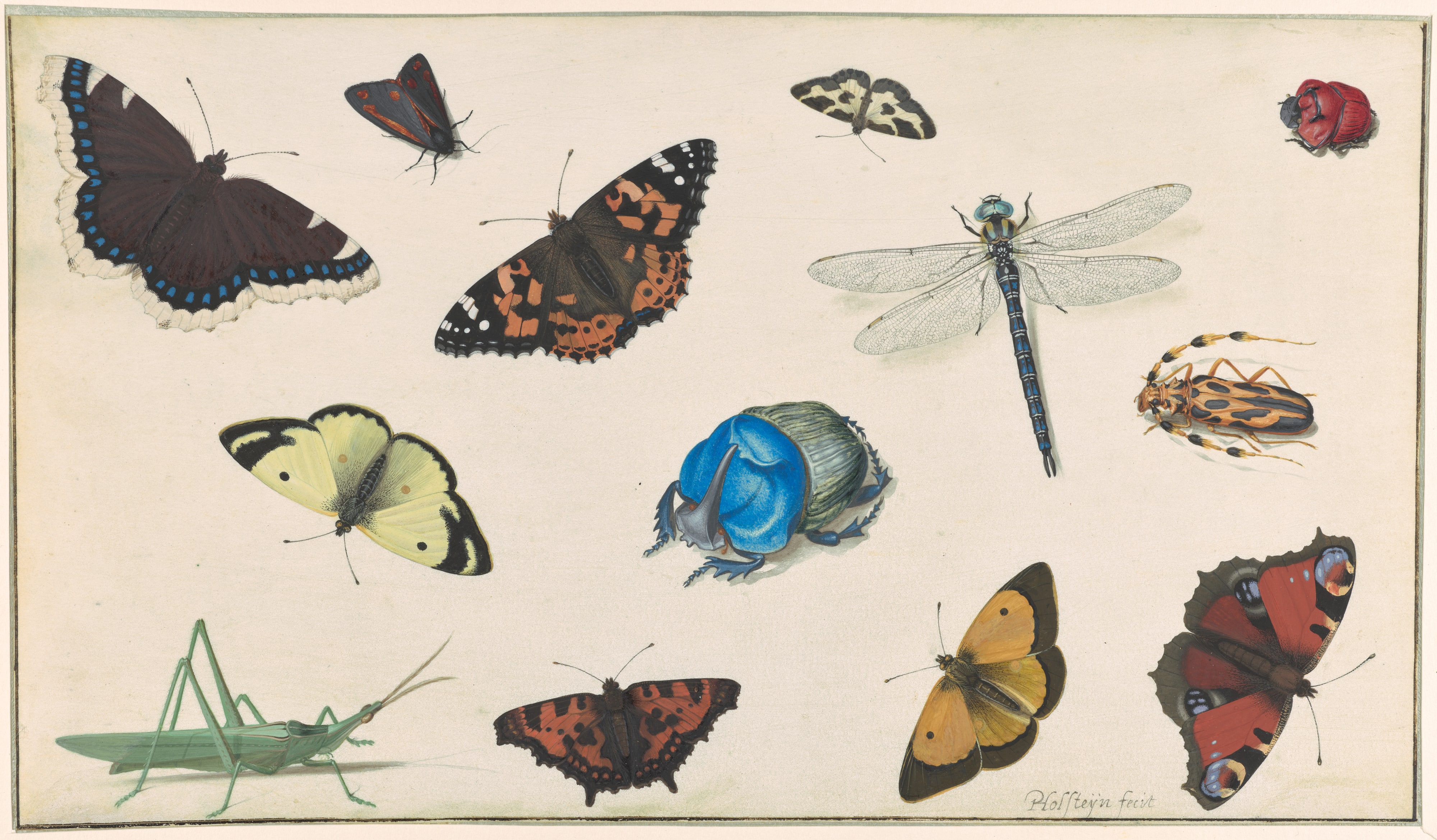 Sheet of Studies of a Dragonfly, Grasshopper, Butterflies, Moths, and Beetles