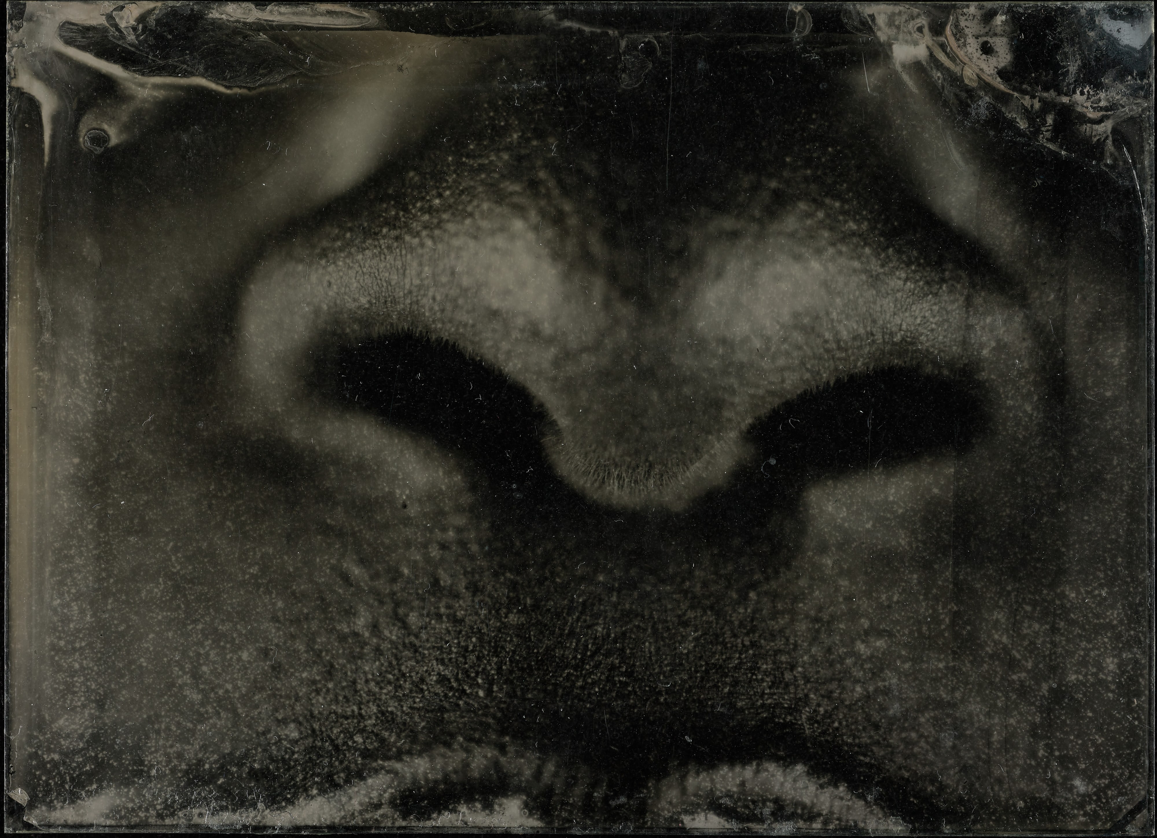Undertone #61