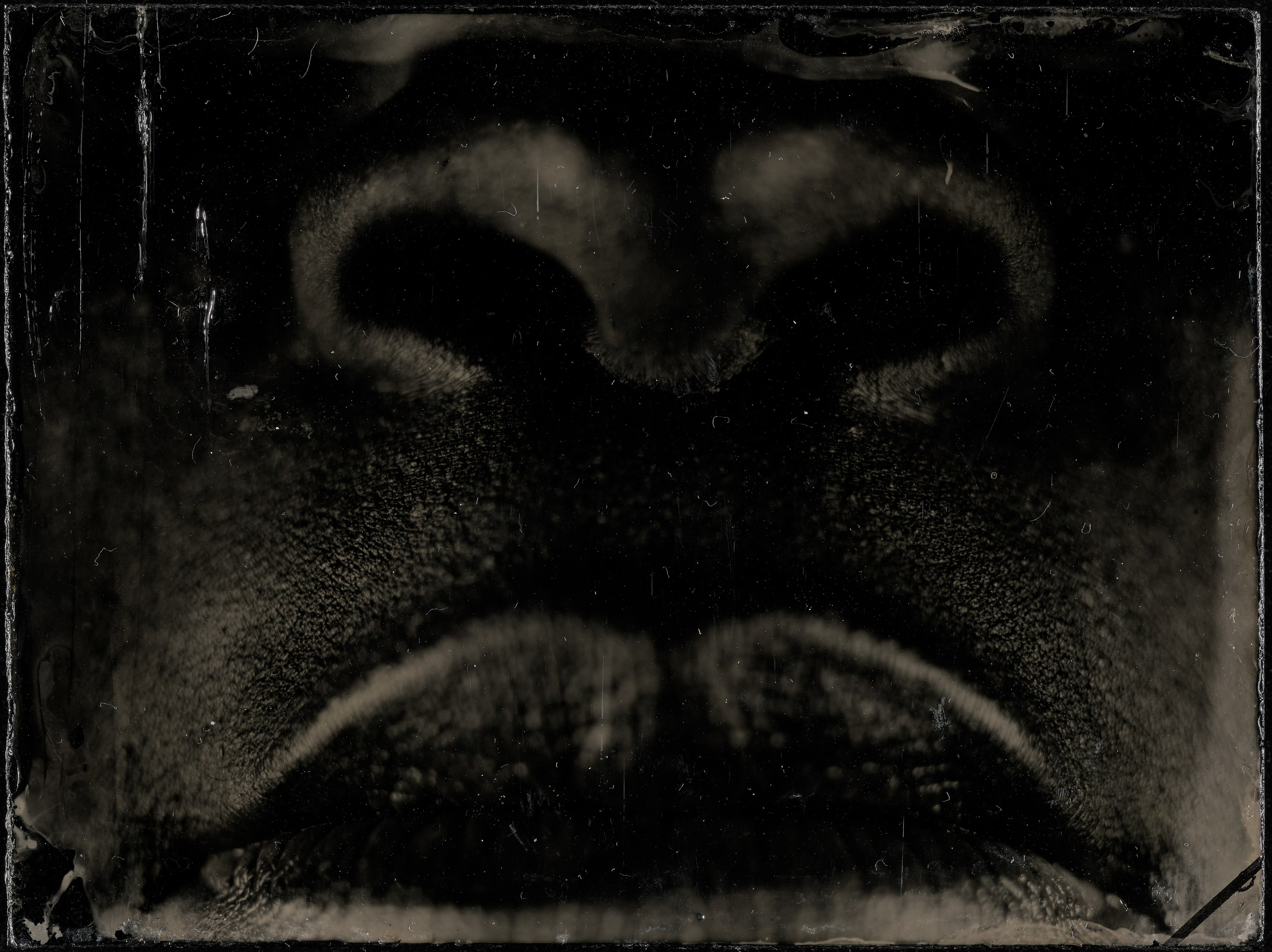 Undertone #41